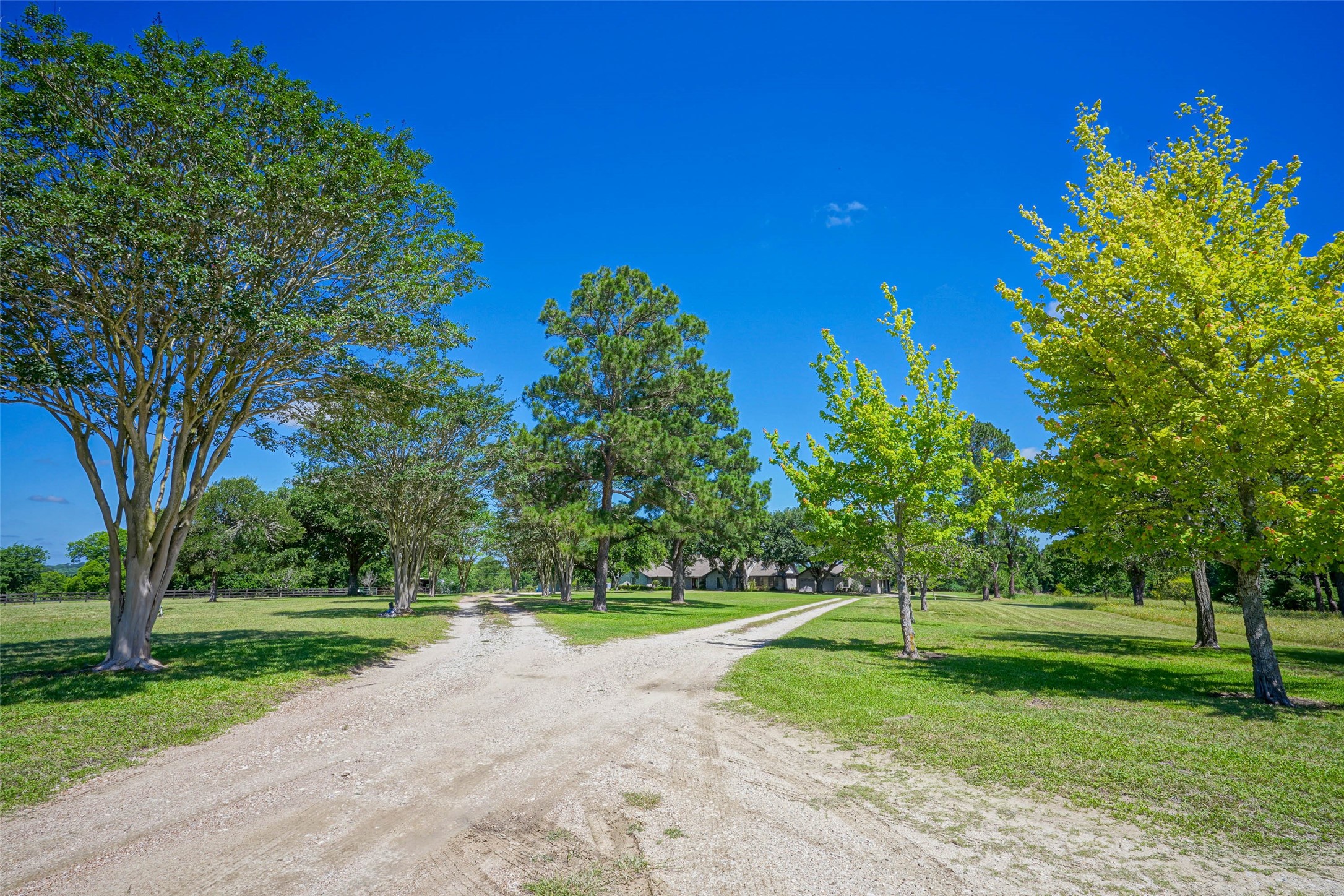 4124 Fm 149 Road W Property Photo 3