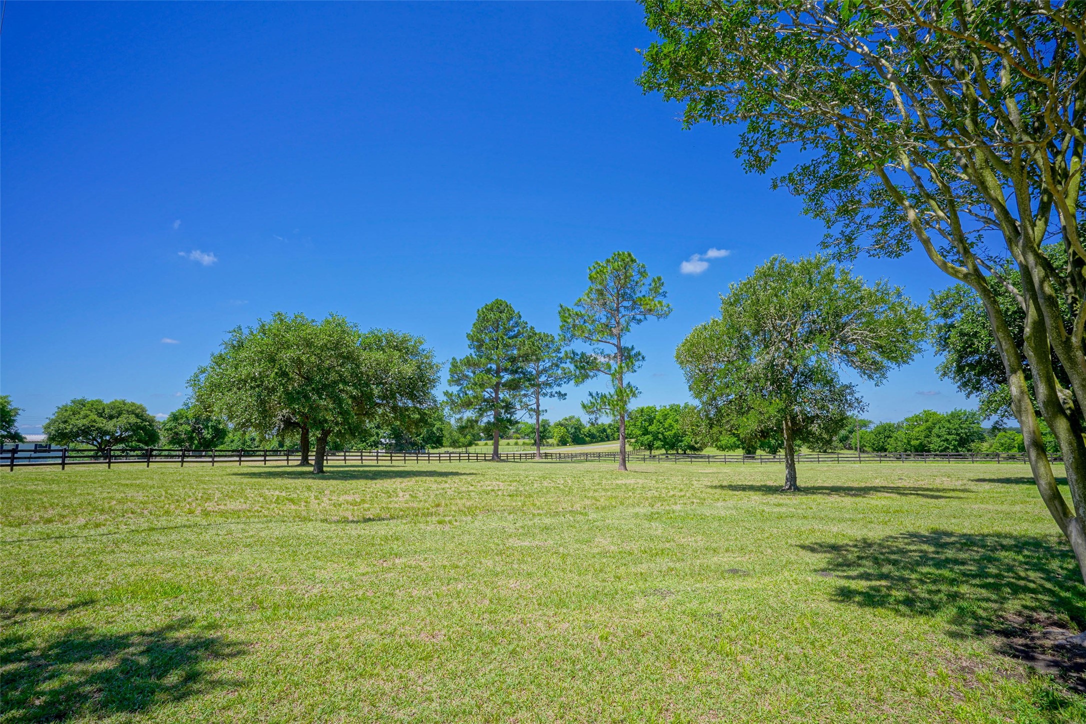 4124 Fm 149 Road W Property Photo 5