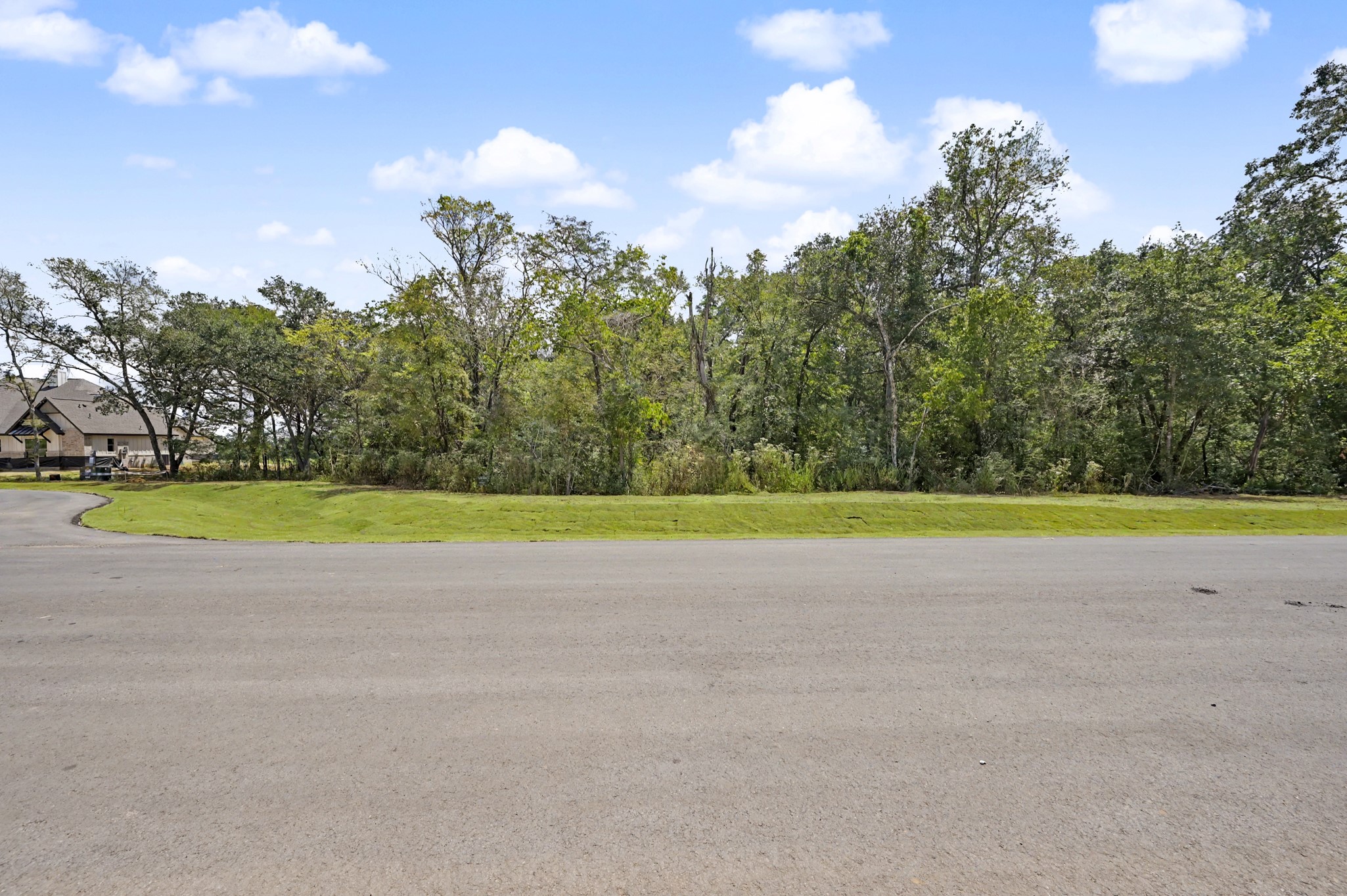 9734 Lakeside Oaks Drive Drive Property Photo 2