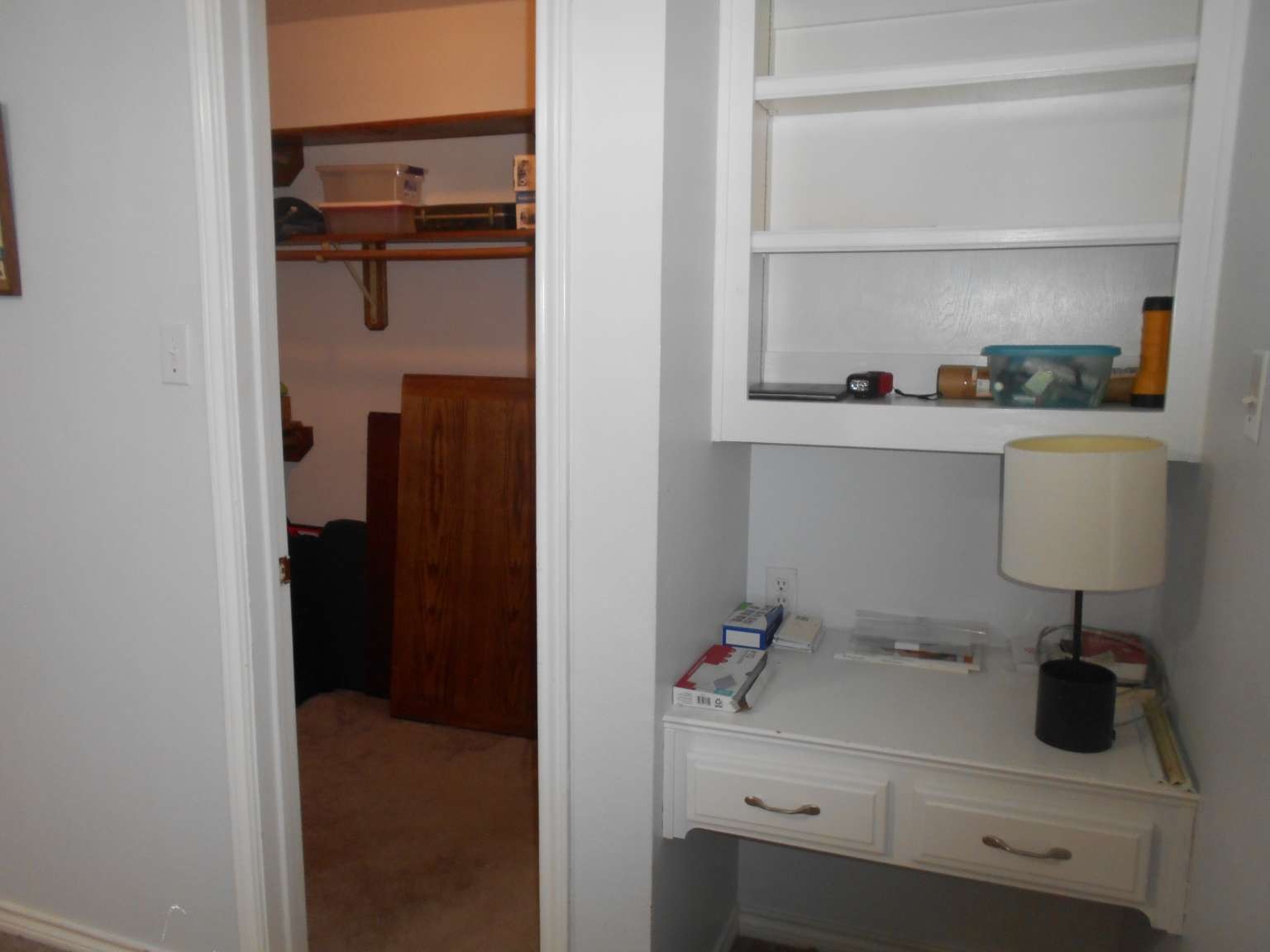 53 S Calla Lily Court Property Photo 16