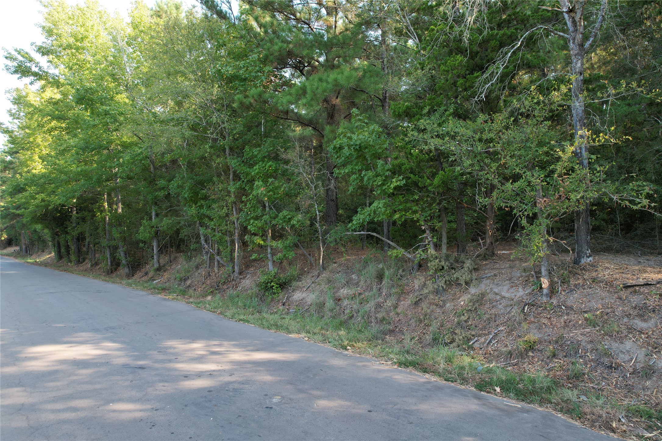Tbd An County Road 1220 Property Photo 4