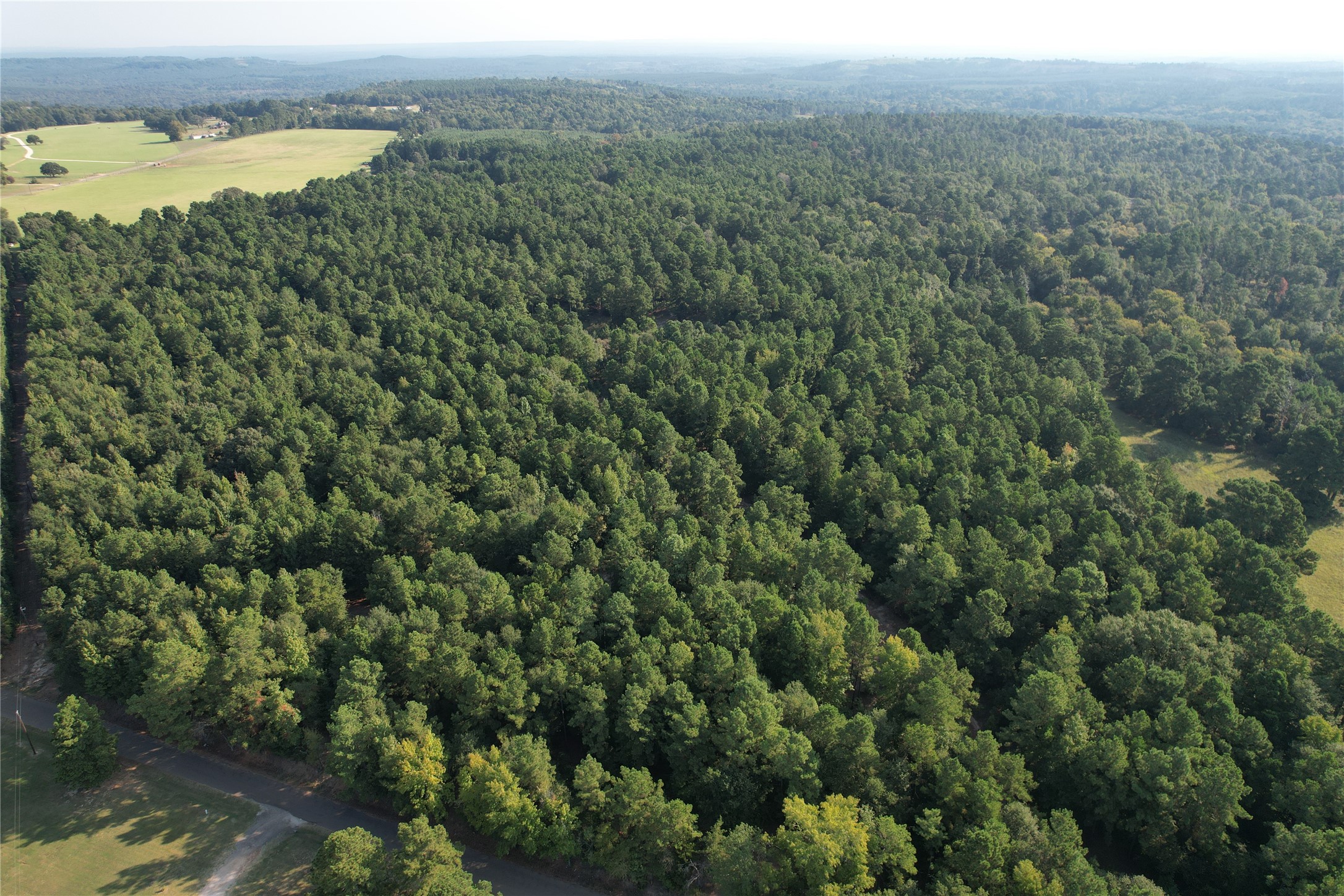 Tbd An County Road 1220 Property Photo 7