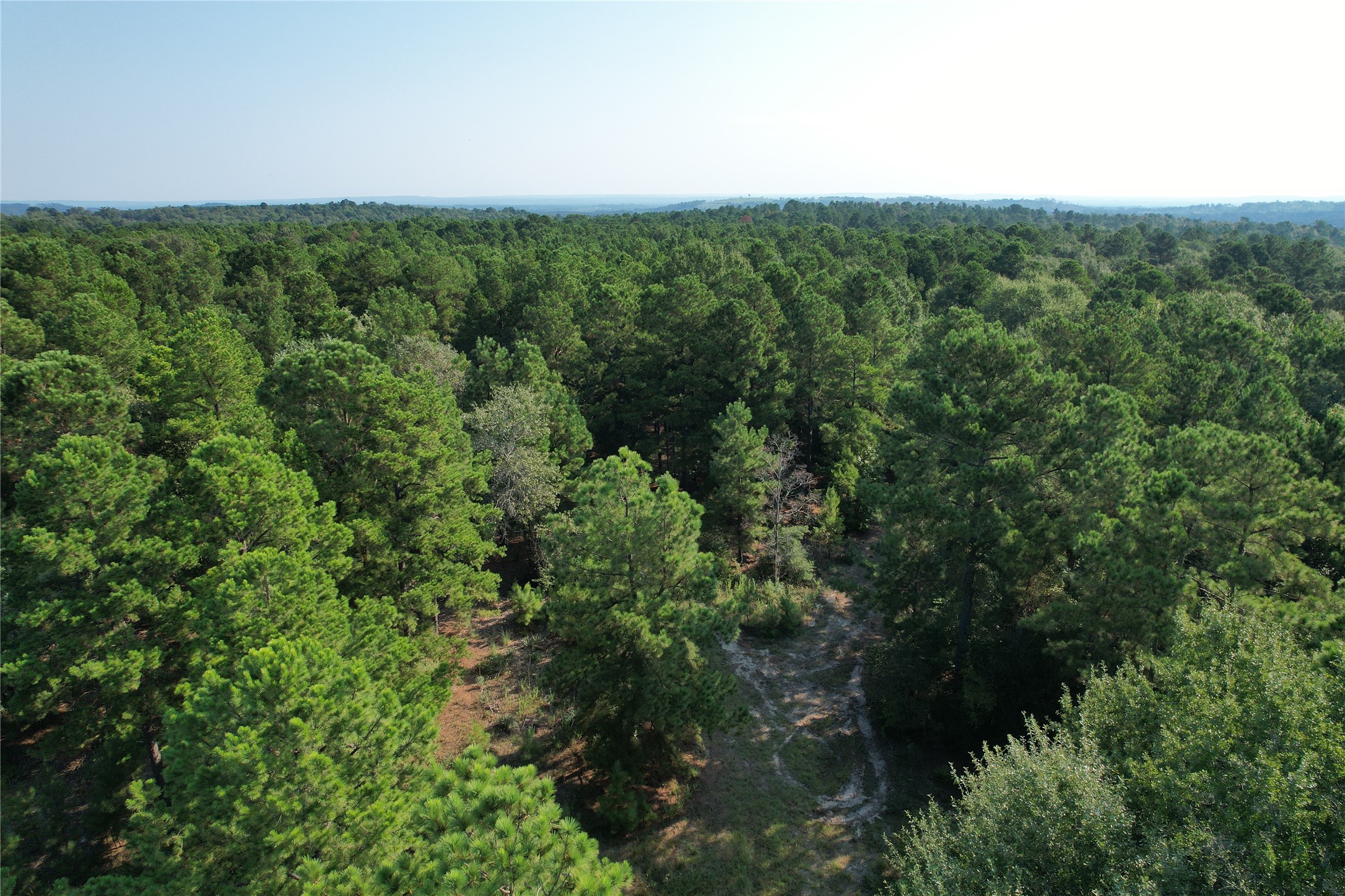 Tbd An County Road 1220 Property Photo 18