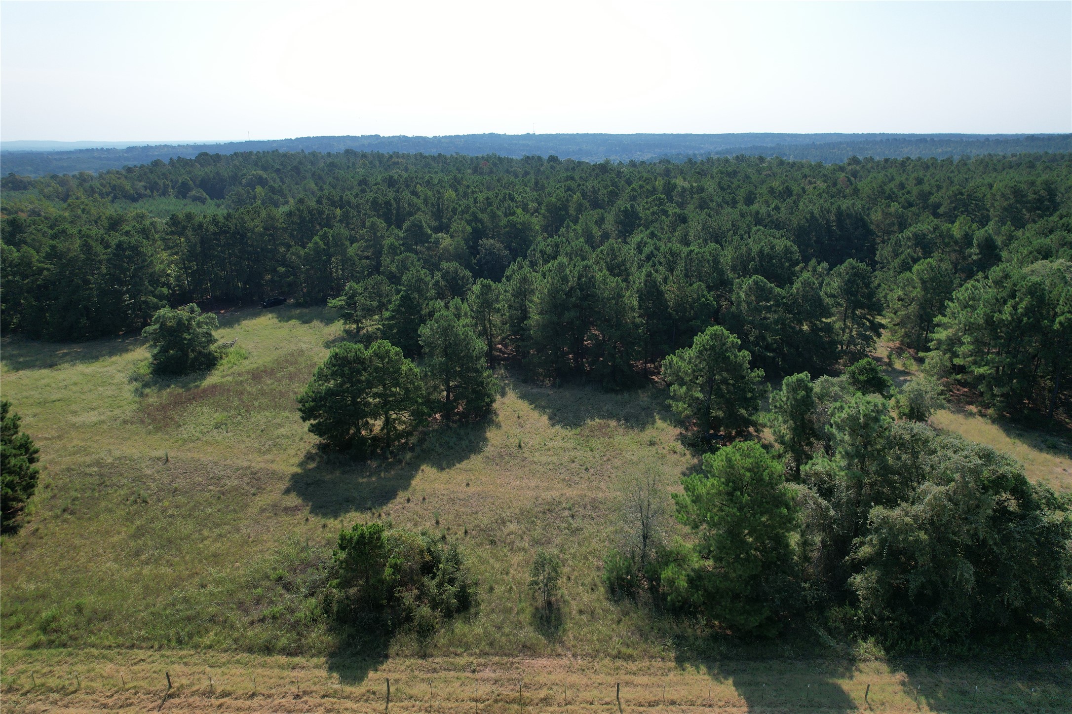 Tbd An County Road 1220 Property Photo 32