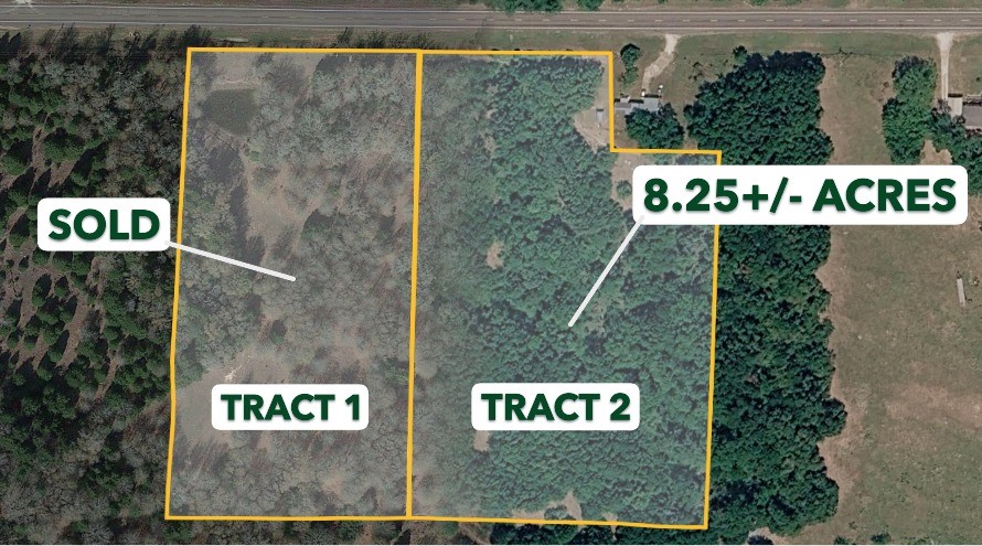 Tract 2 Tbd Fm 1365 Property Photo 1