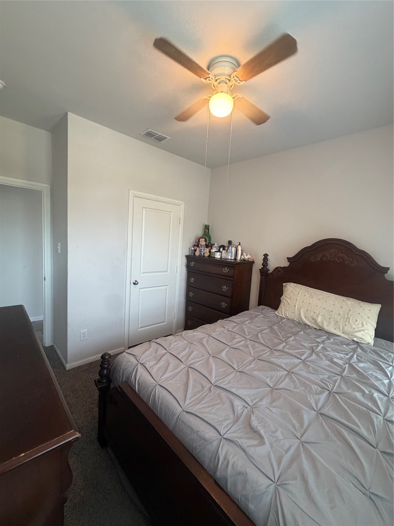 417 Drowsy Water Trail Property Photo 5
