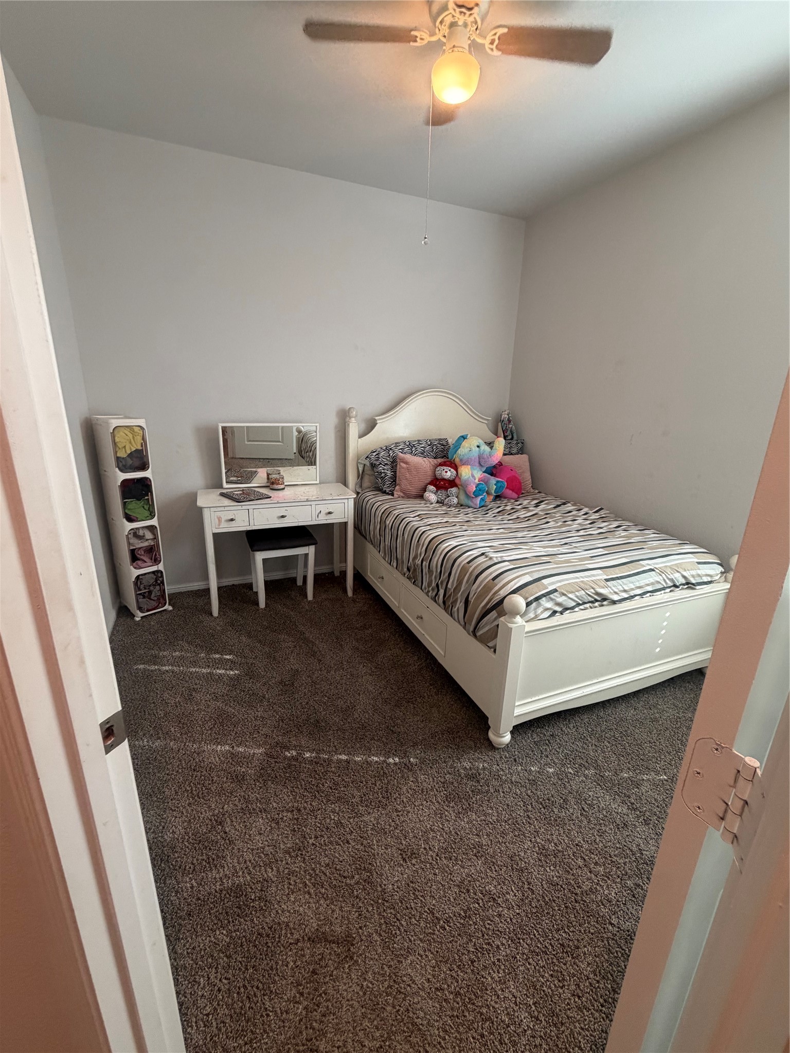 417 Drowsy Water Trail Property Photo 6