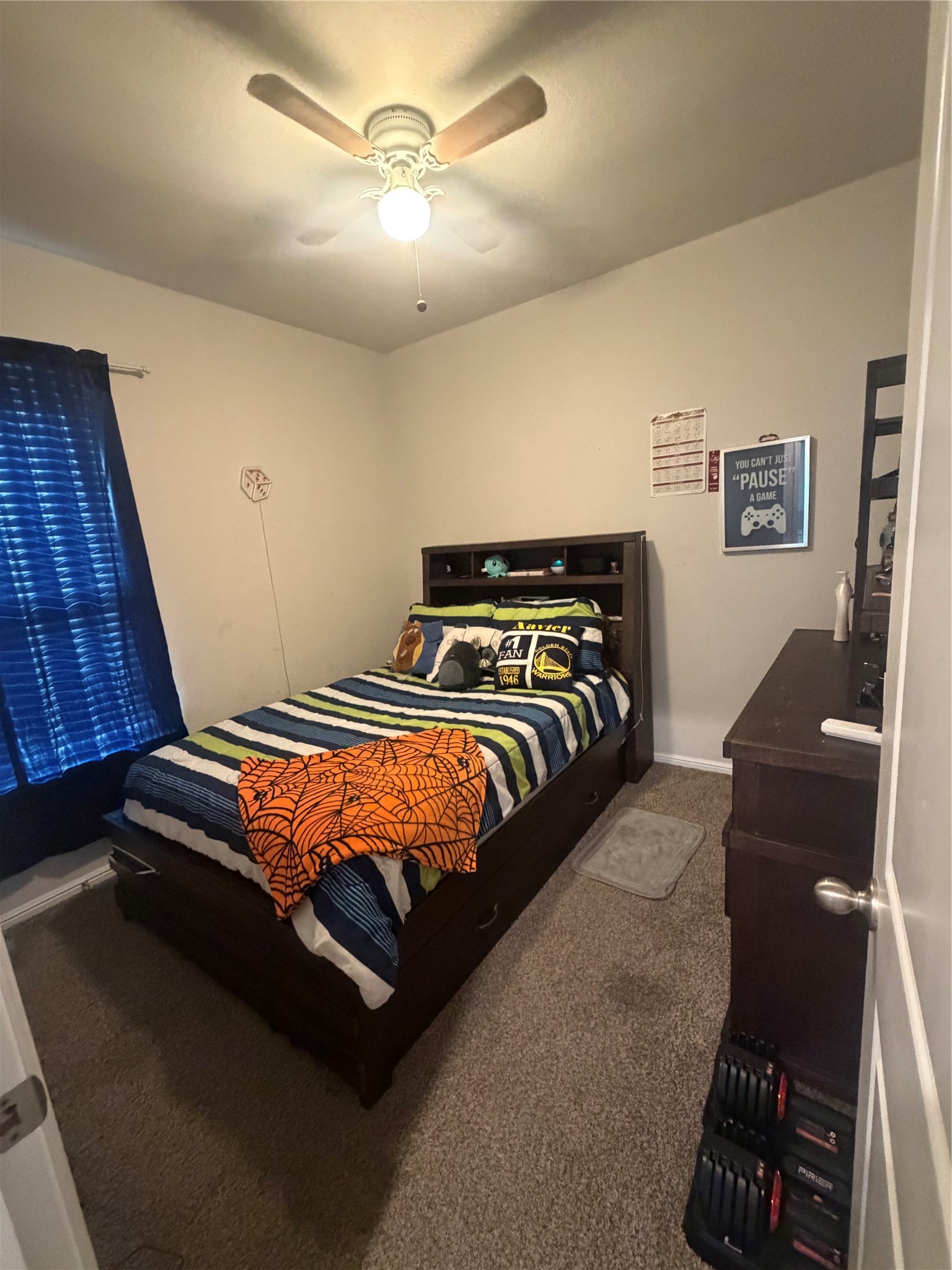 417 Drowsy Water Trail Property Photo 9