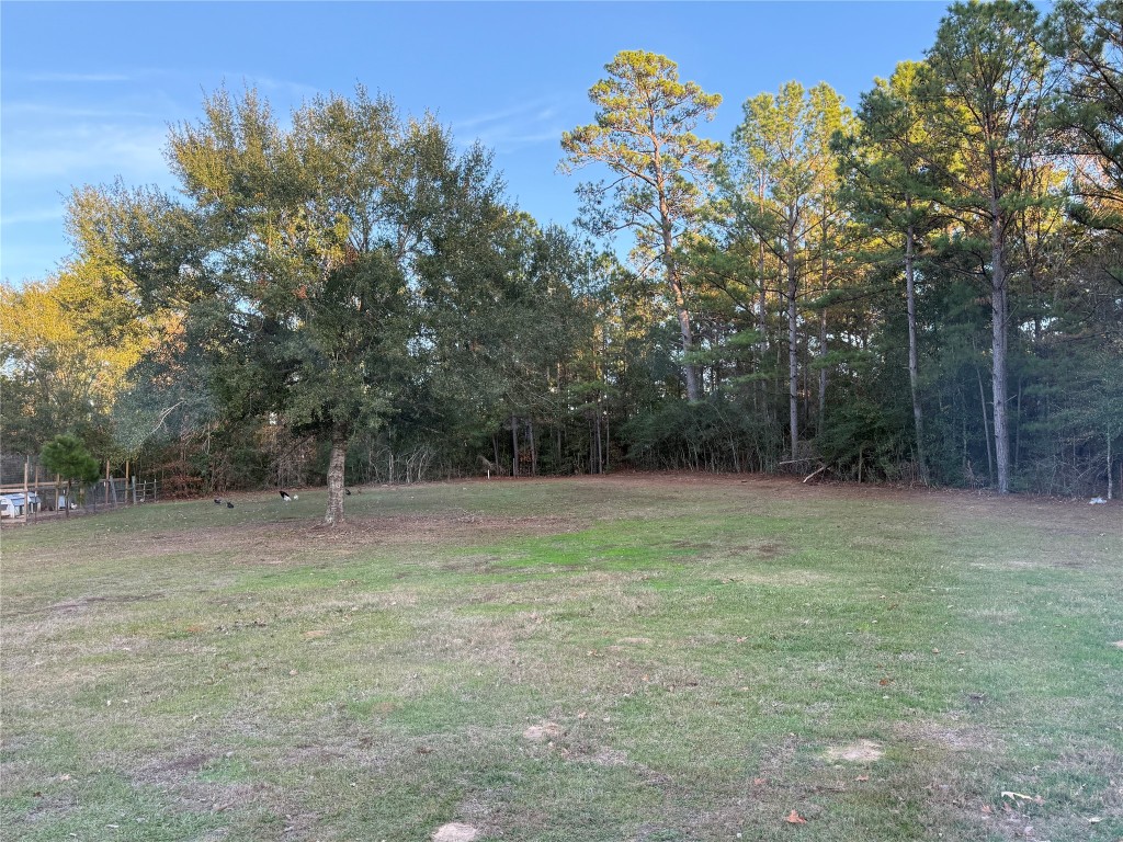 3074 S Fm 1486 Road Property Photo 2