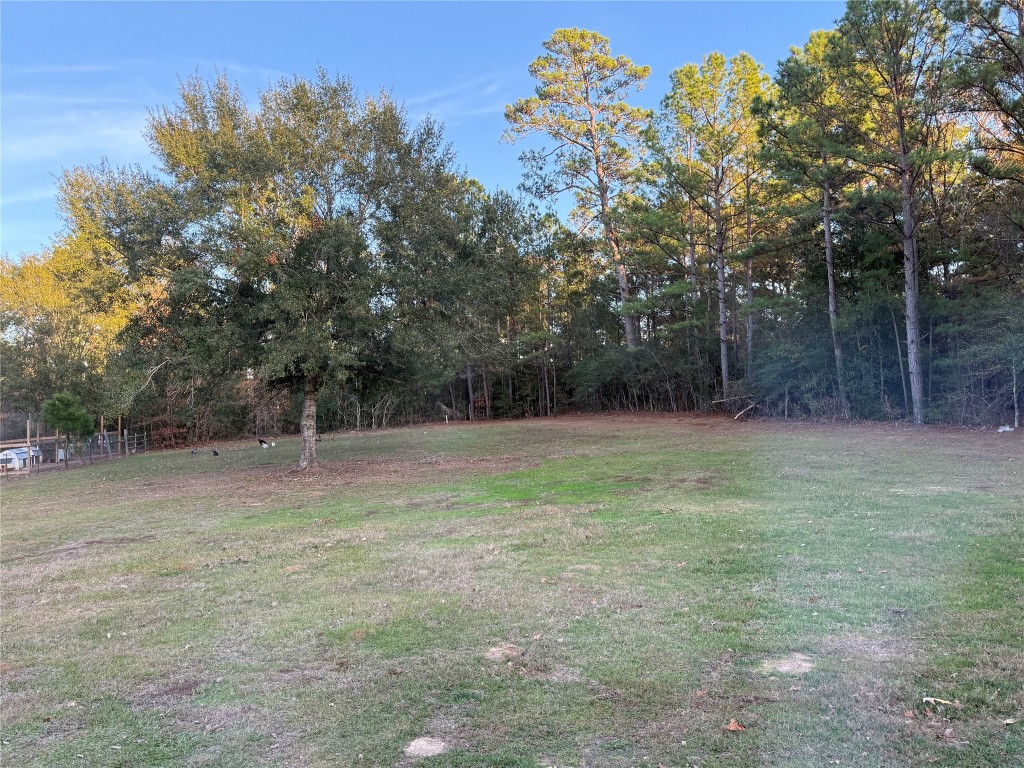 3074 S Fm 1486 Road Property Photo 14