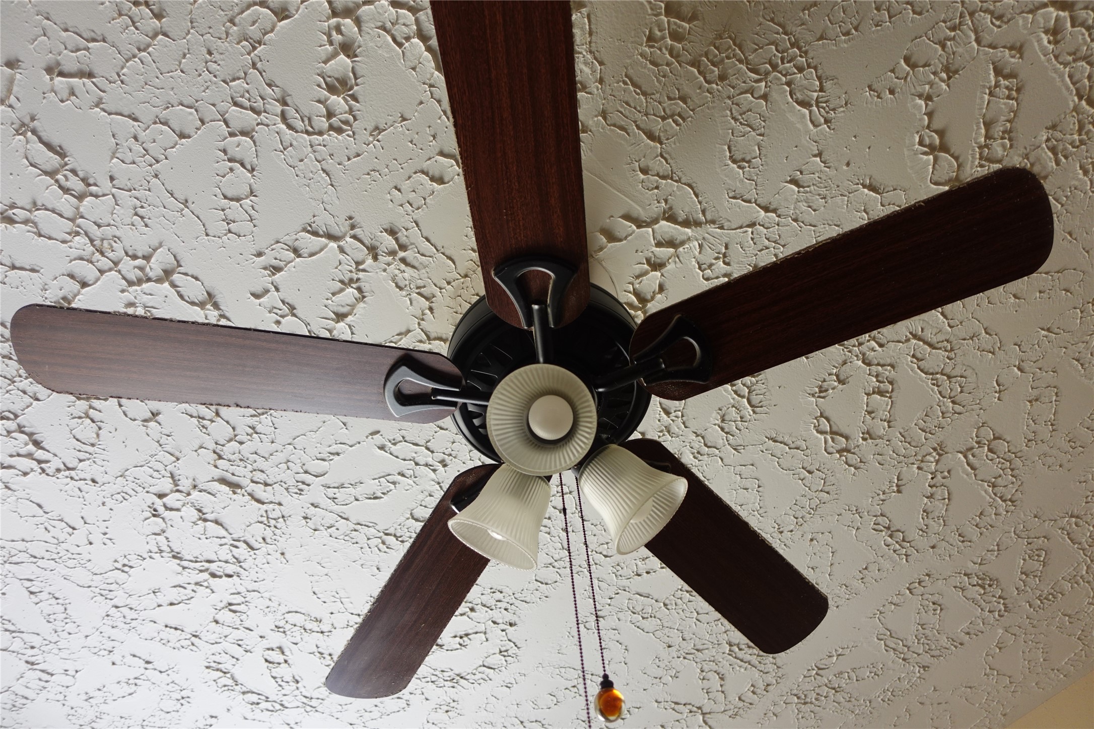 20027 Chipplegate Lane Property Photo 25