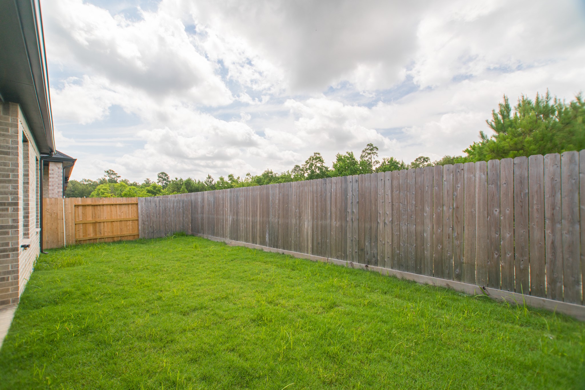 10574 Wild Chives Property Photo 22