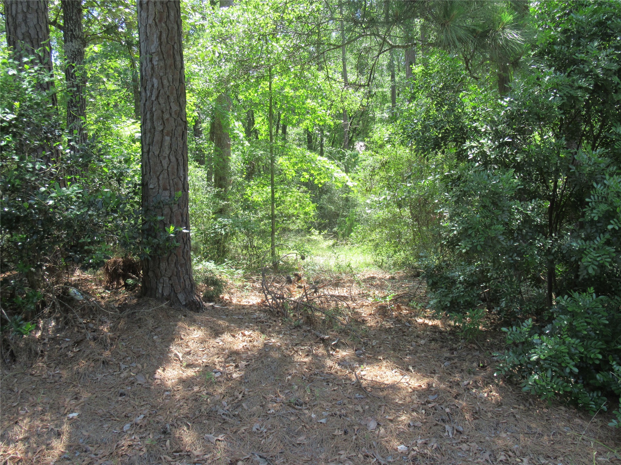 337 Noel Property Photo 2