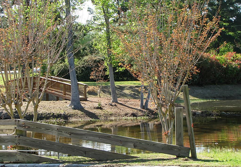 337 Noel Property Photo 5