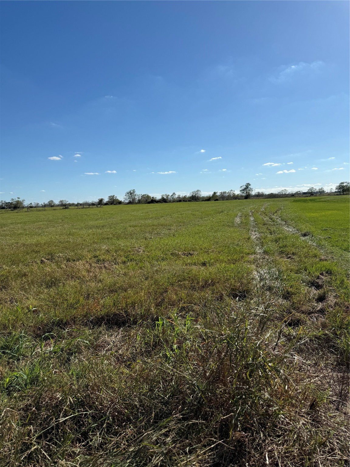 Lot 8 Fm 457 Property Photo 5