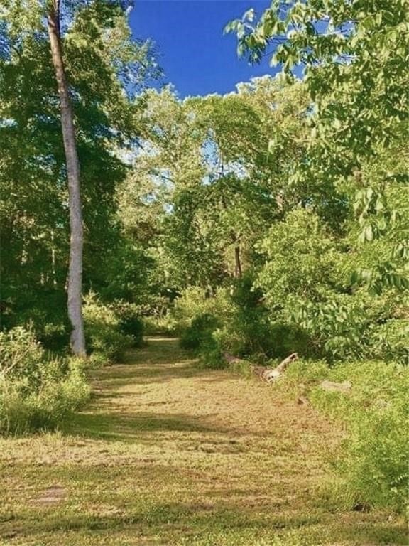 2042 Willow Springs Road Property Photo 39
