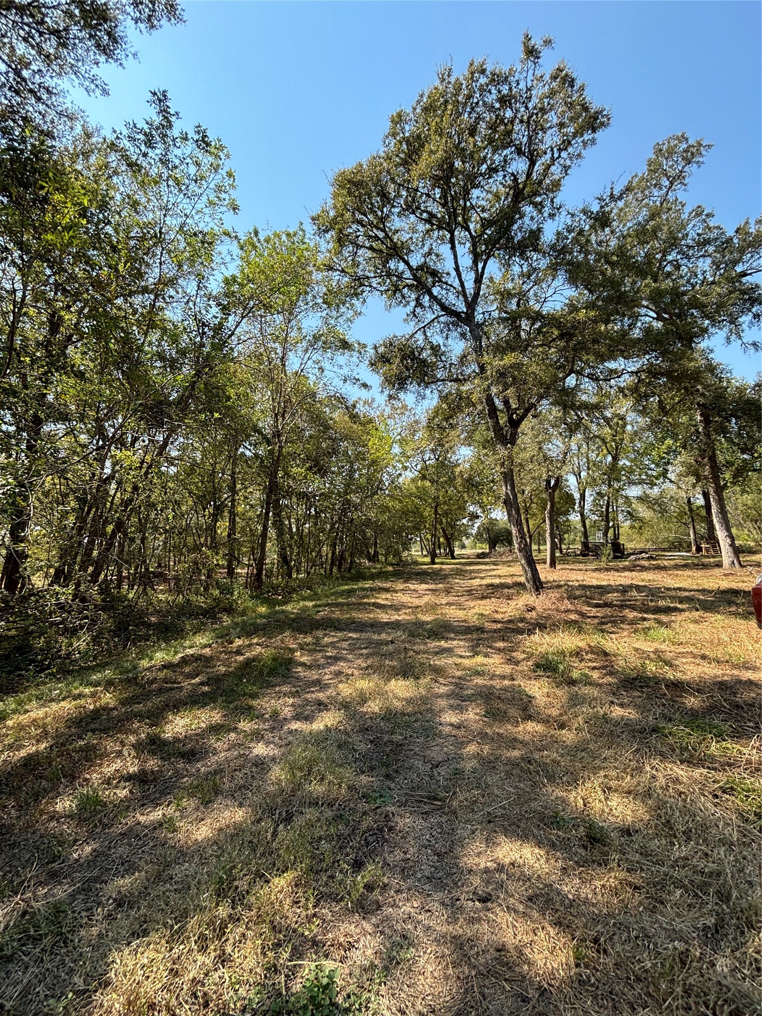 1014 Baker Property Photo 5