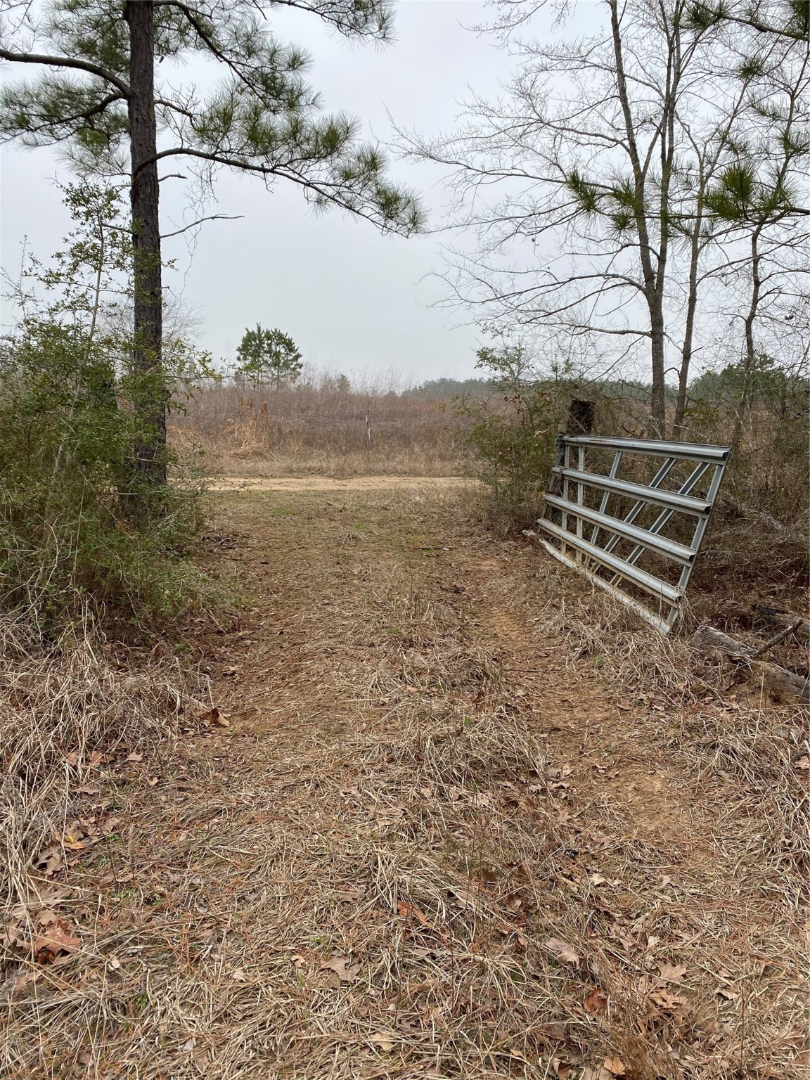 Tbd Parcel 6250 Property Photo 1
