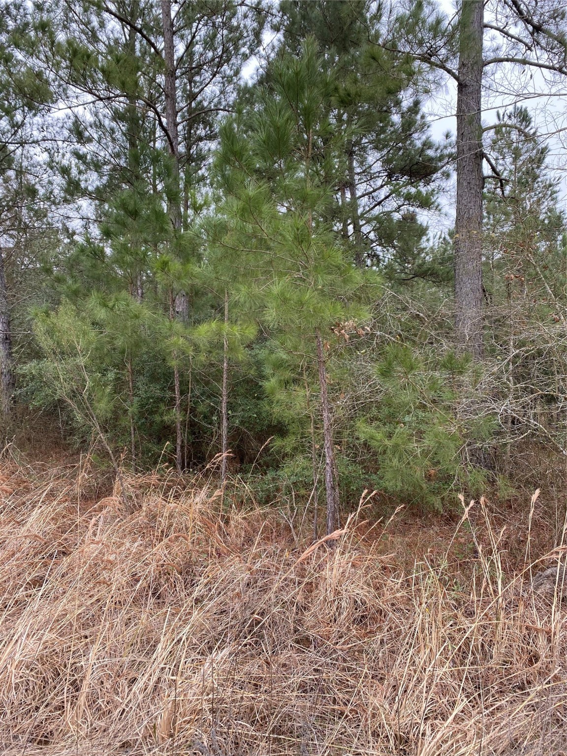 Tbd Parcel 6250 Property Photo 3