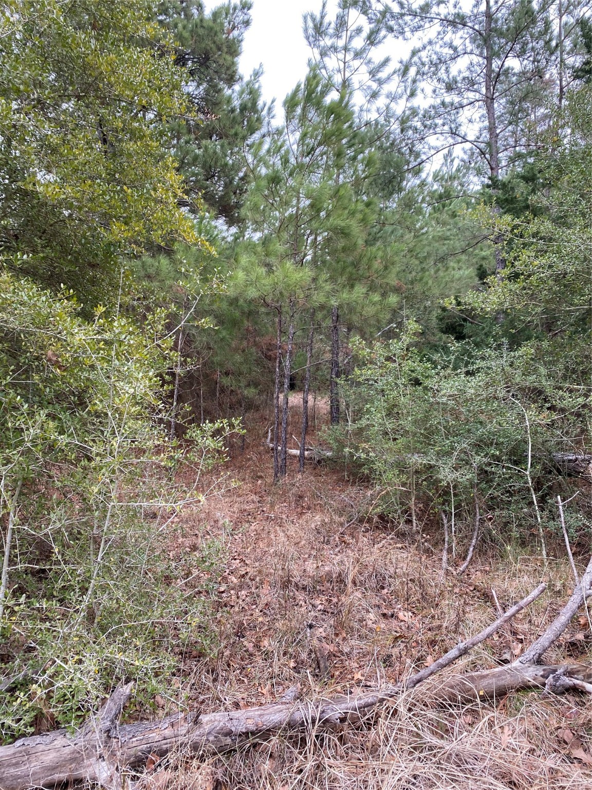 Tbd Parcel 6250 Property Photo 8