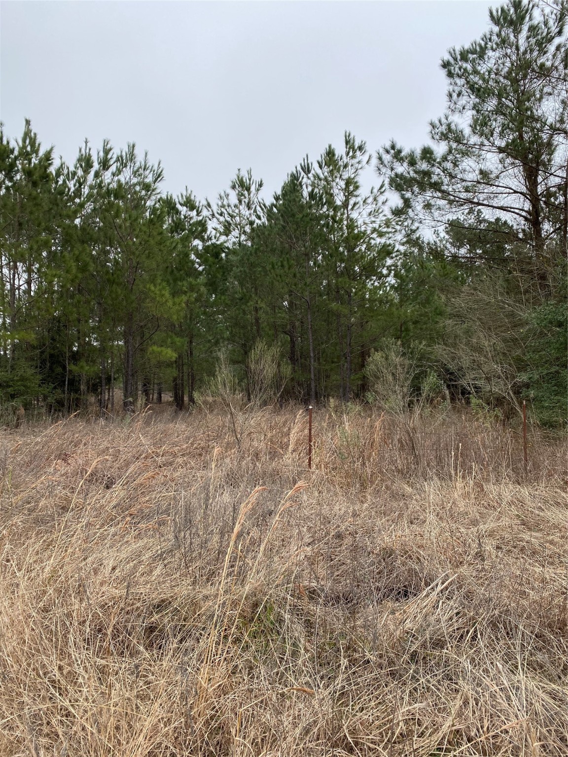 Tbd Parcel 6250 Property Photo 10