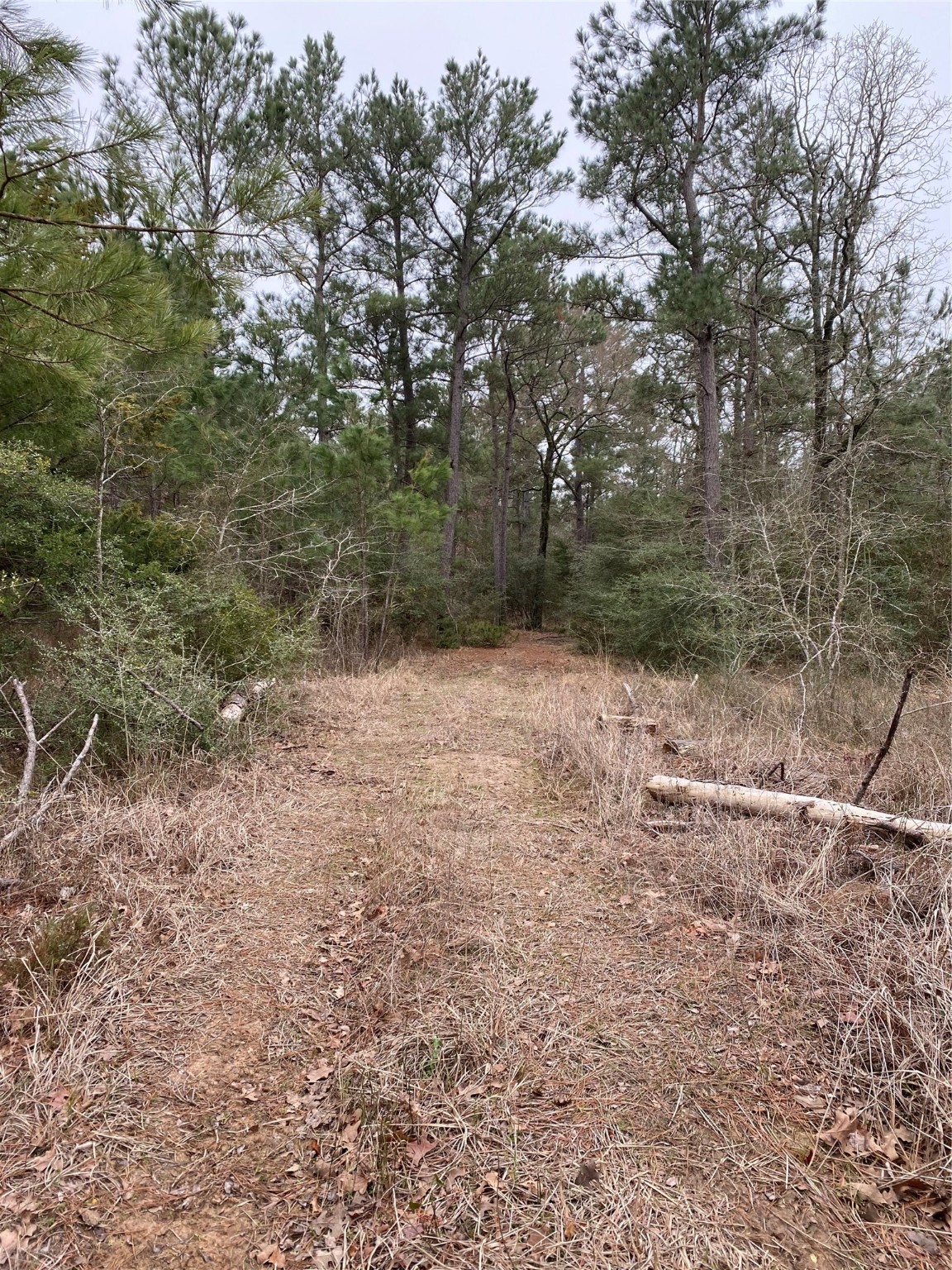 Tbd Parcel 6250 Property Photo 11