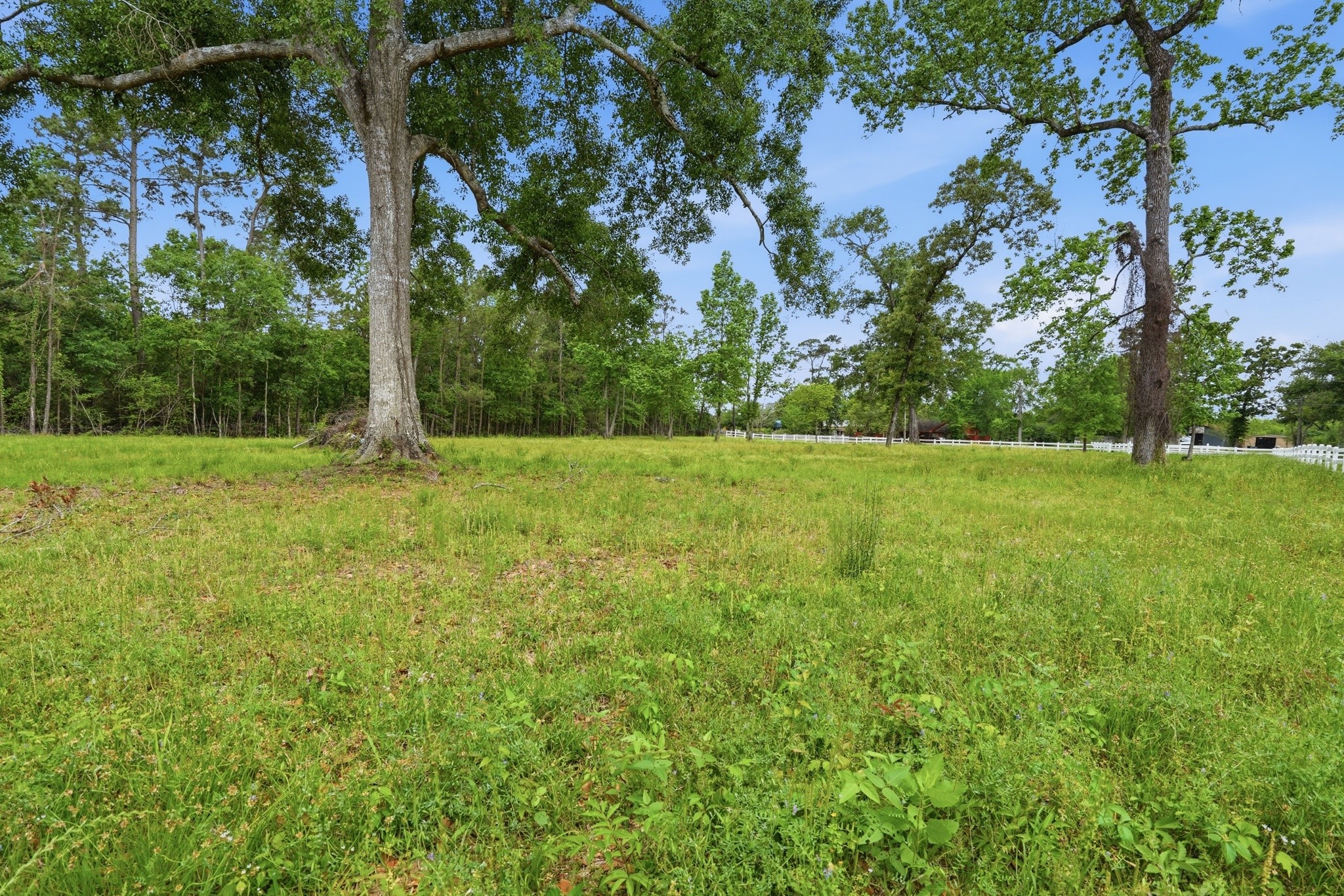 10240 Post Oak Drive Property Photo 38