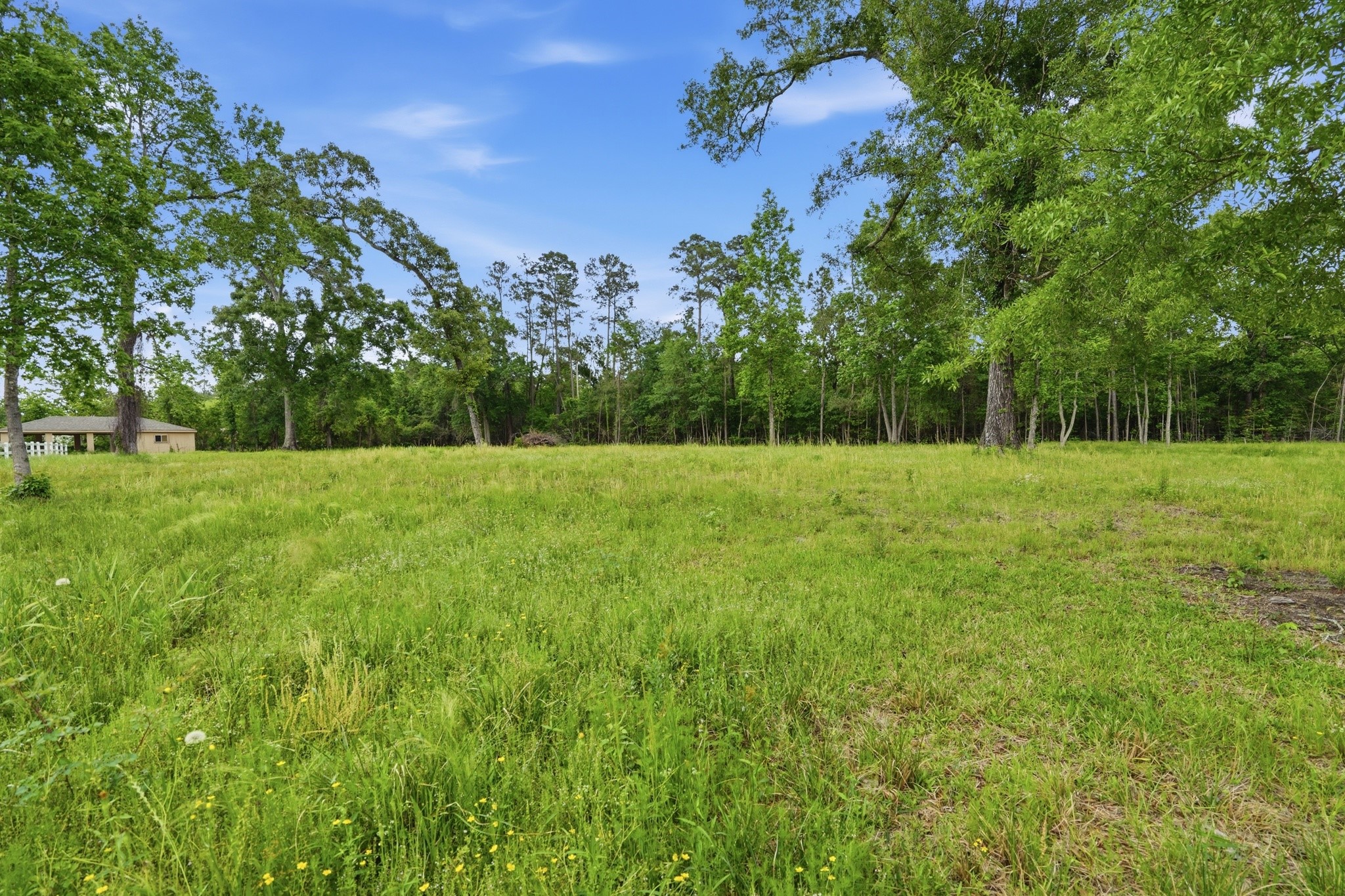 10240 Post Oak Drive Property Photo 41