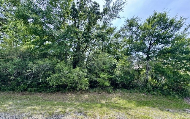 Tbd005 Molitar Property Photo 2