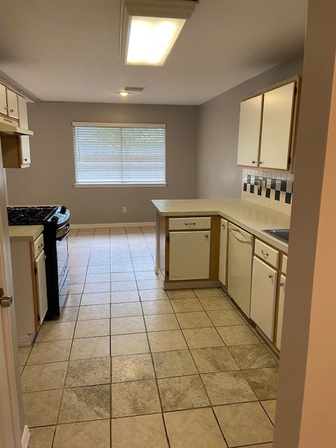 10811 Great Bridge Drive Property Photo 3