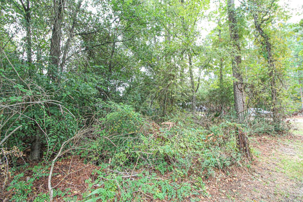 345 Cherokee Lane Property Photo 34