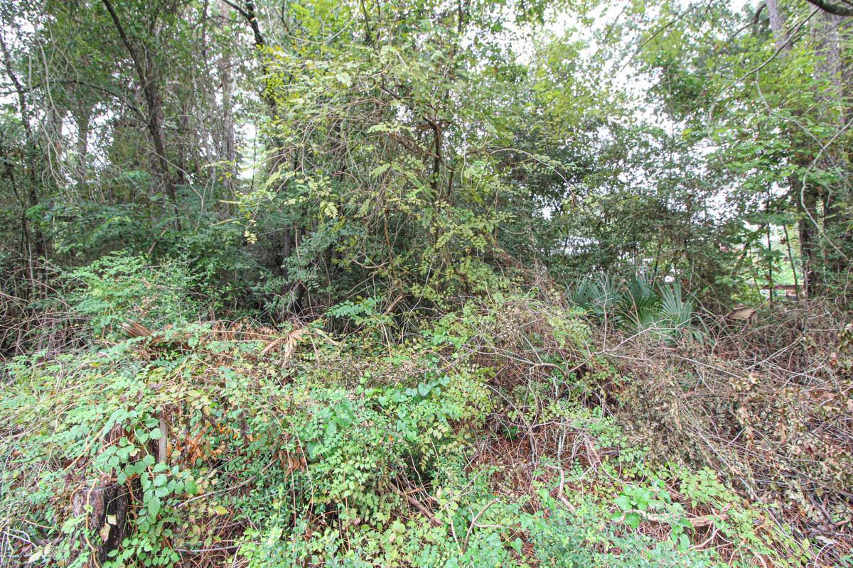 345 Cherokee Lane Property Photo 35