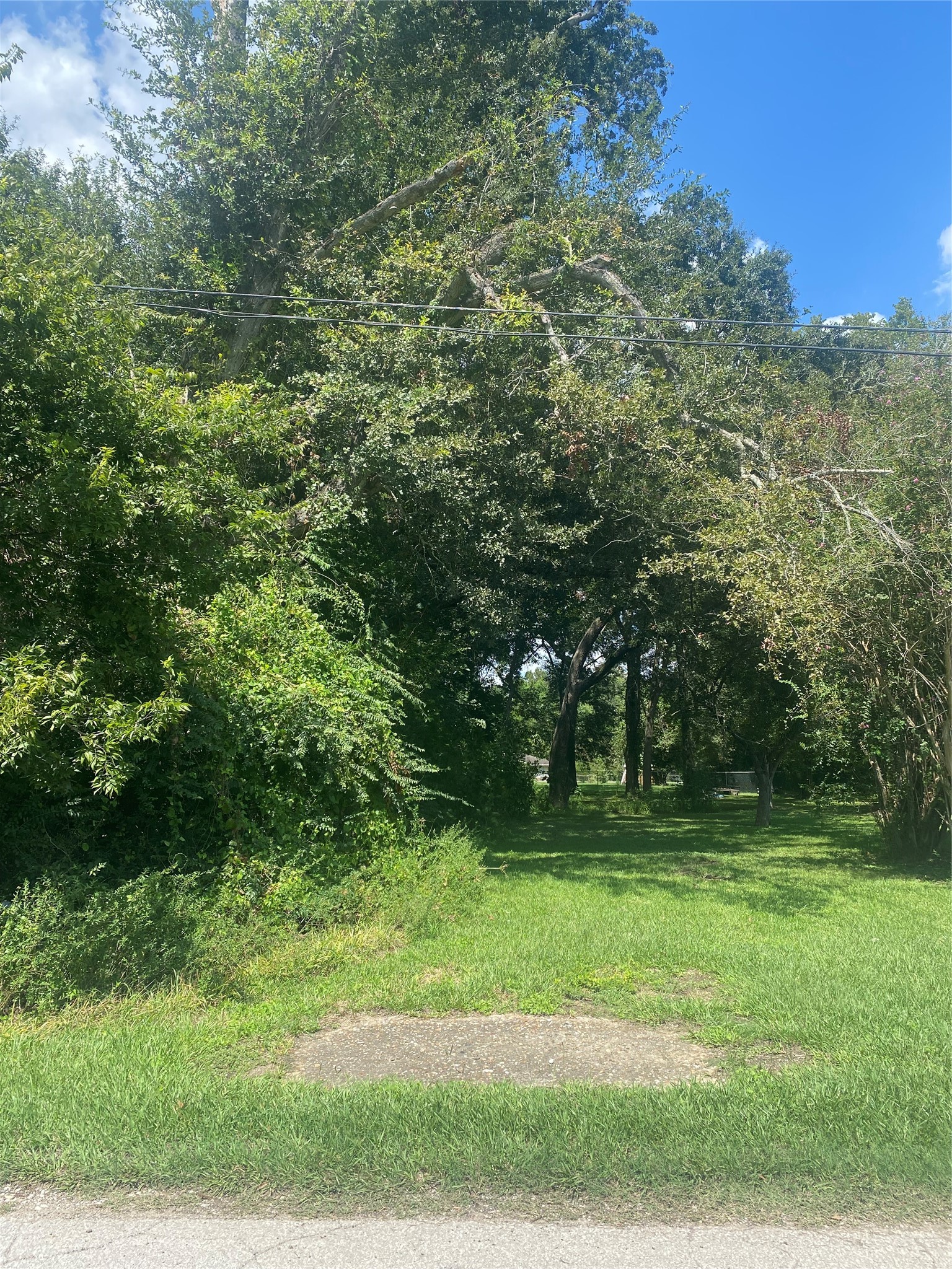 402 E Young Street Property Photo 1