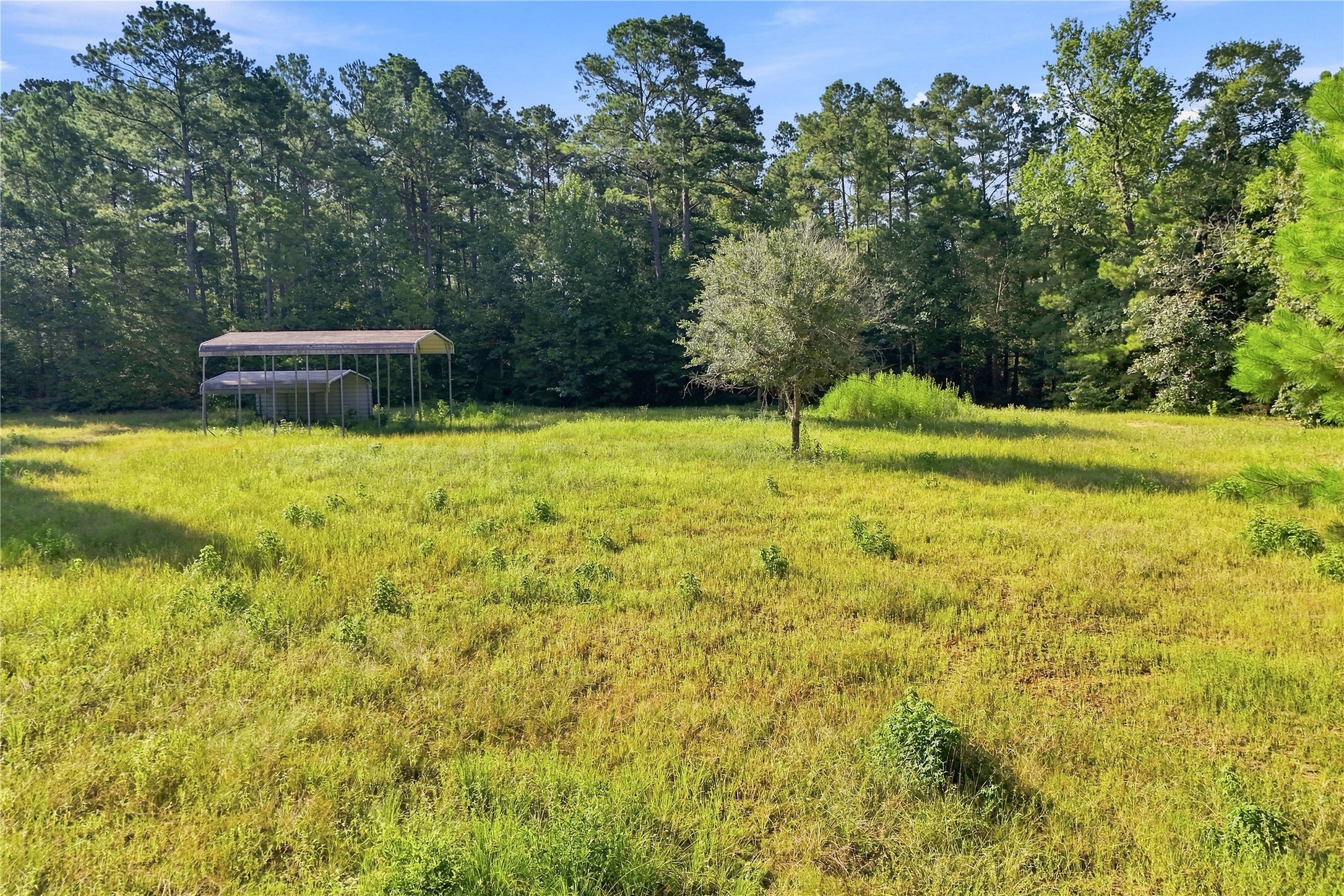 Tbd Hughes Loop Property Photo 16