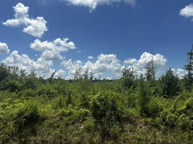 0000 Piney Point Lane