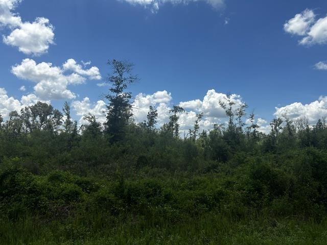 0000 Piney Point Lane Property Photo 3