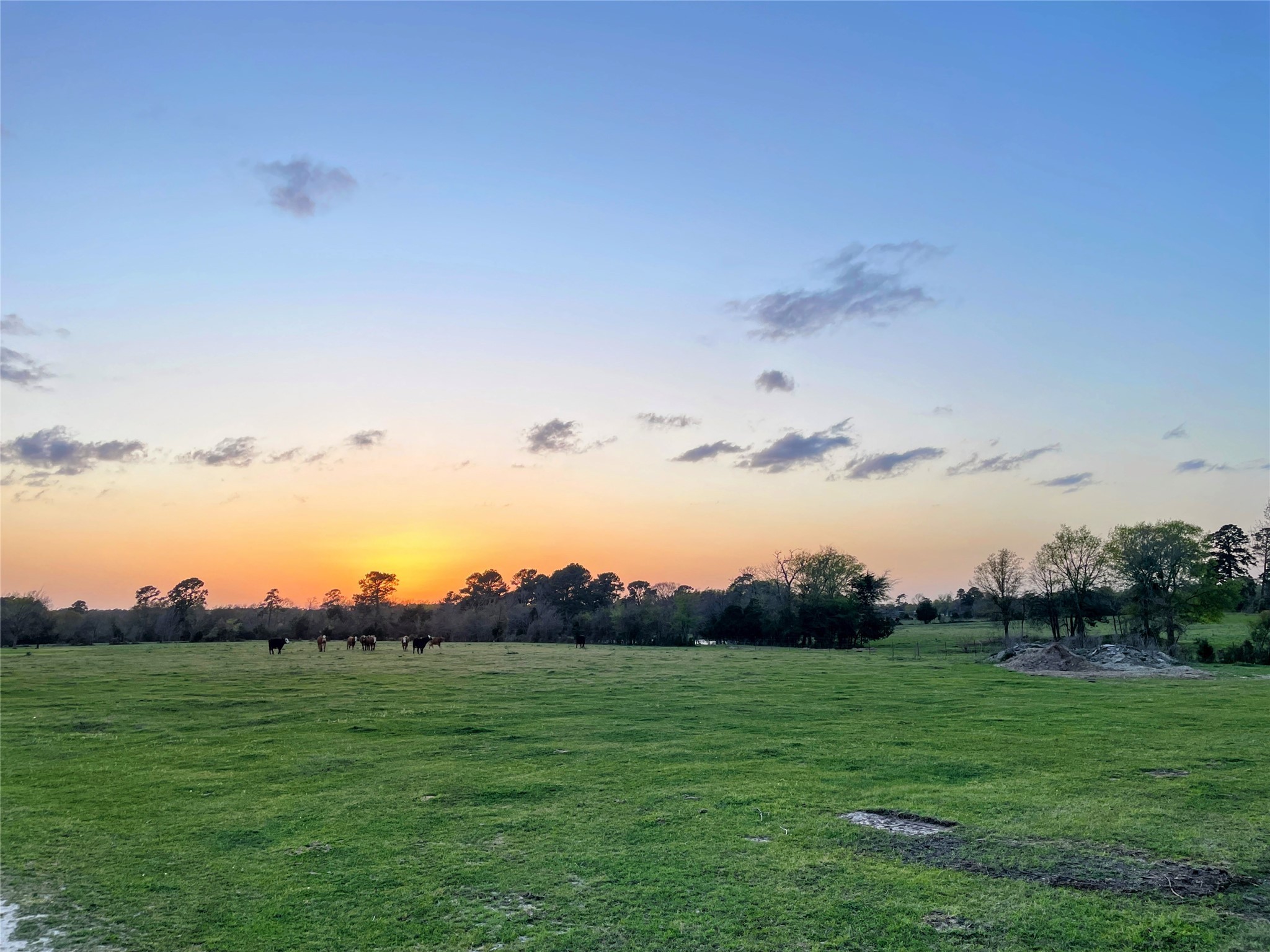 1178 County Road 211 Property Photo 3