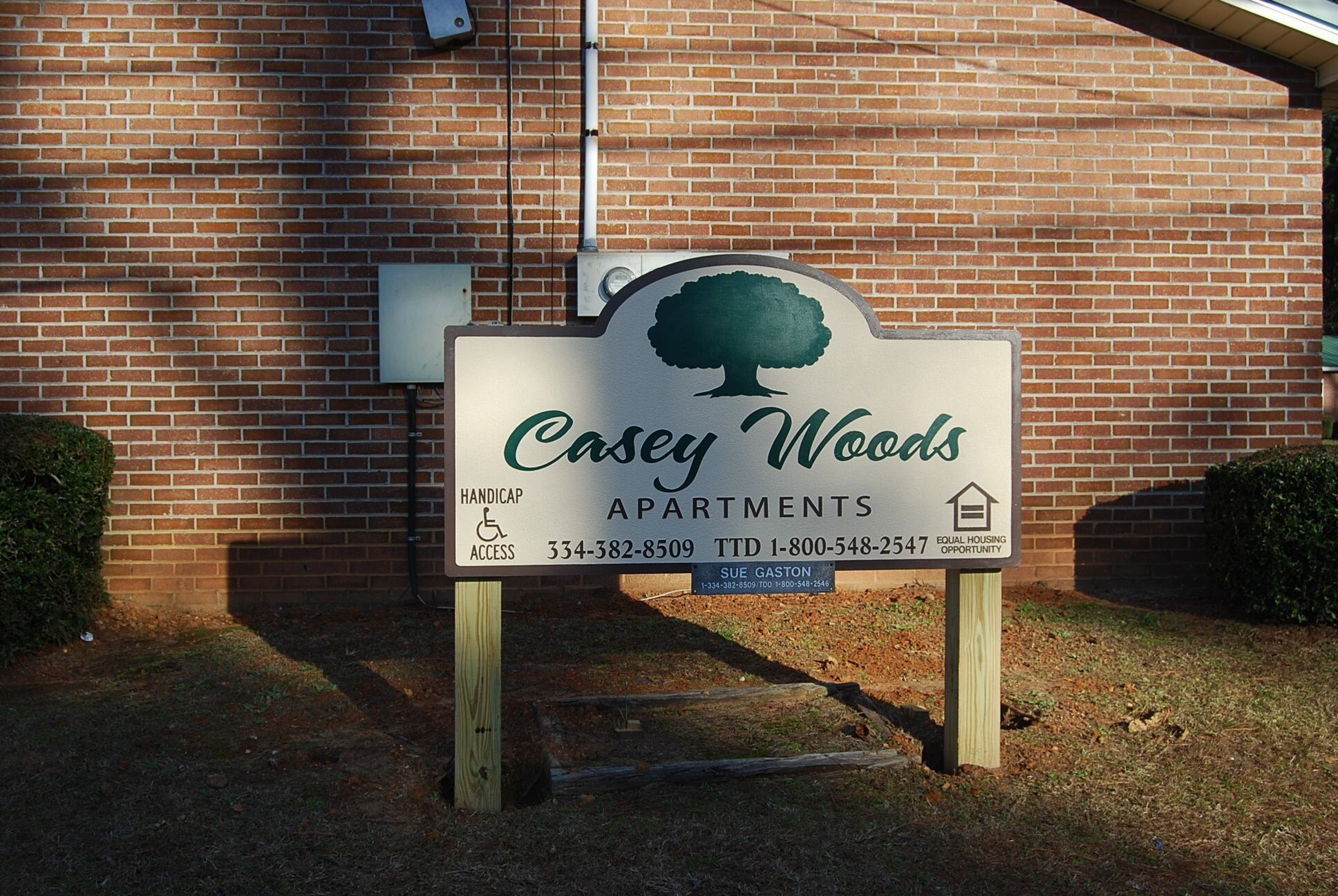 307 Casey Woods St Property Photo 4