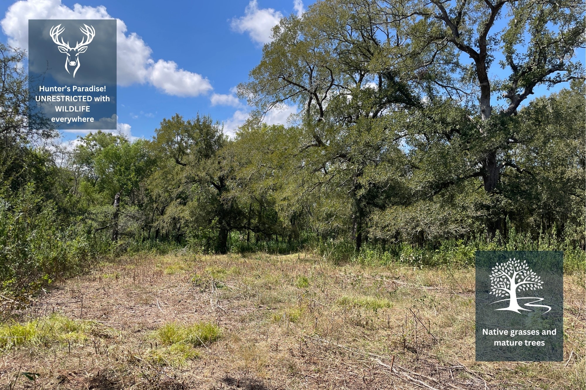 Tbd Cr 220- Property Photo 4