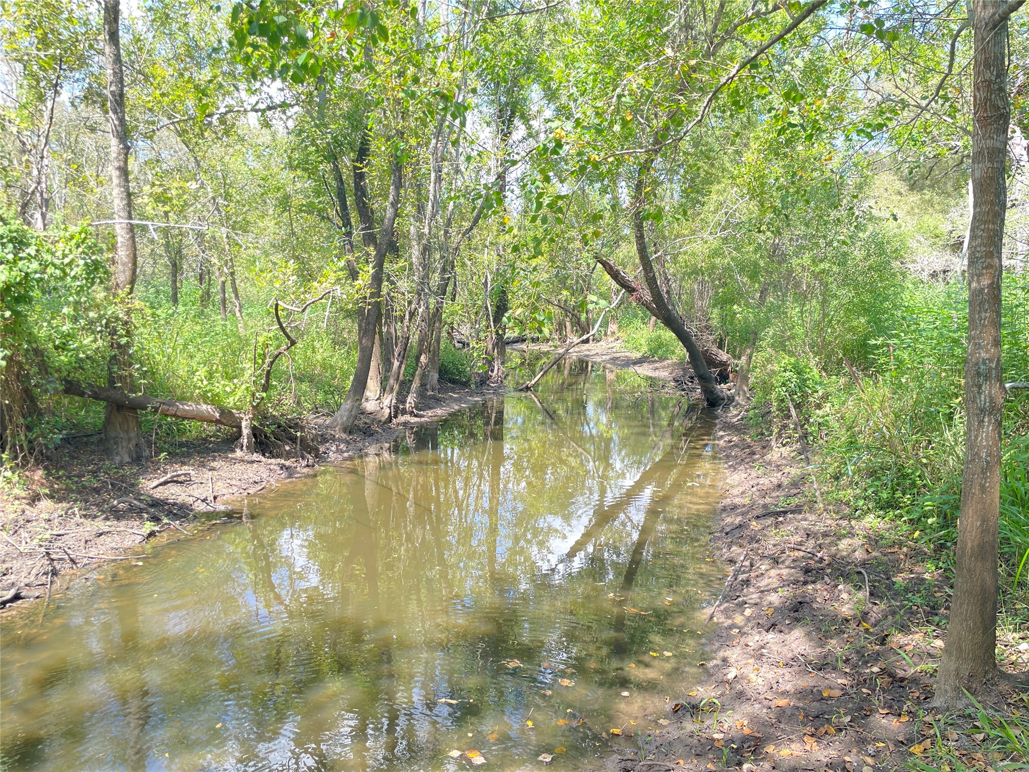 Tbd Cr 220- Property Photo 5