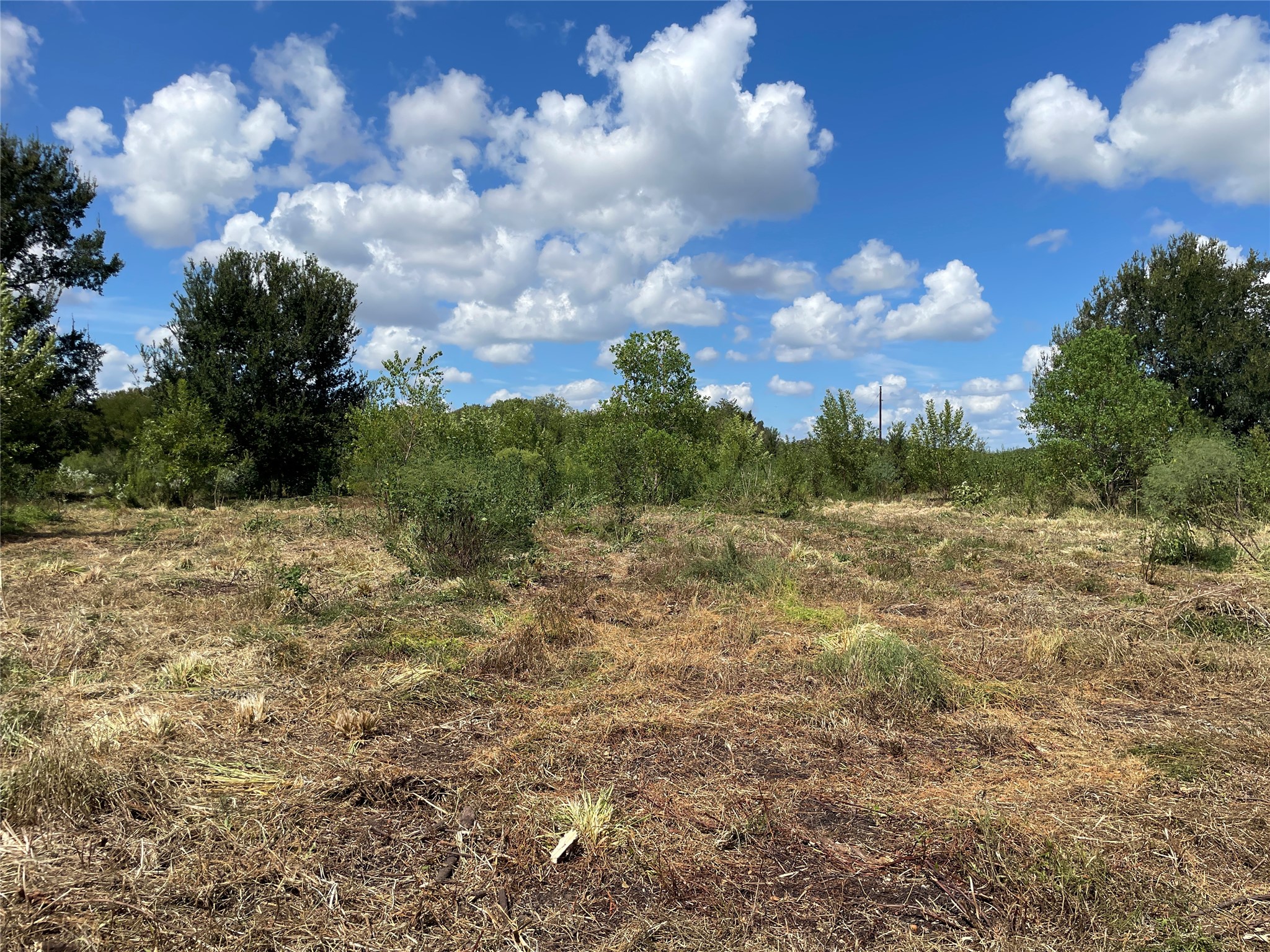 Tbd Cr 220- Property Photo 9