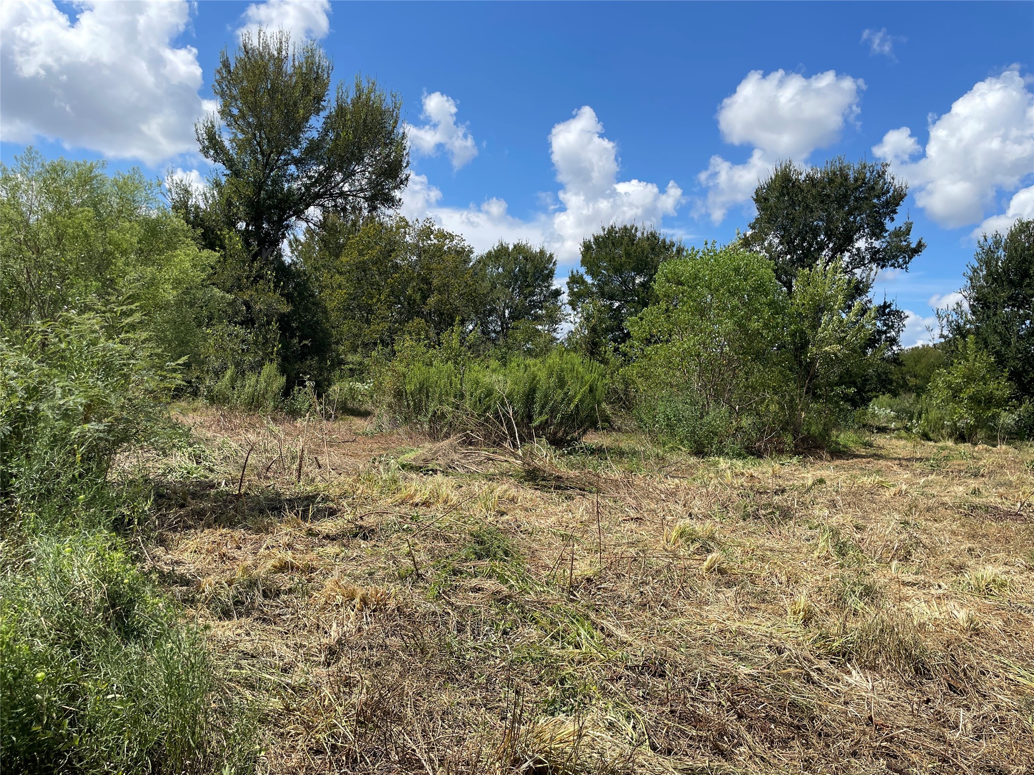 Tbd Cr 220- Property Photo 10