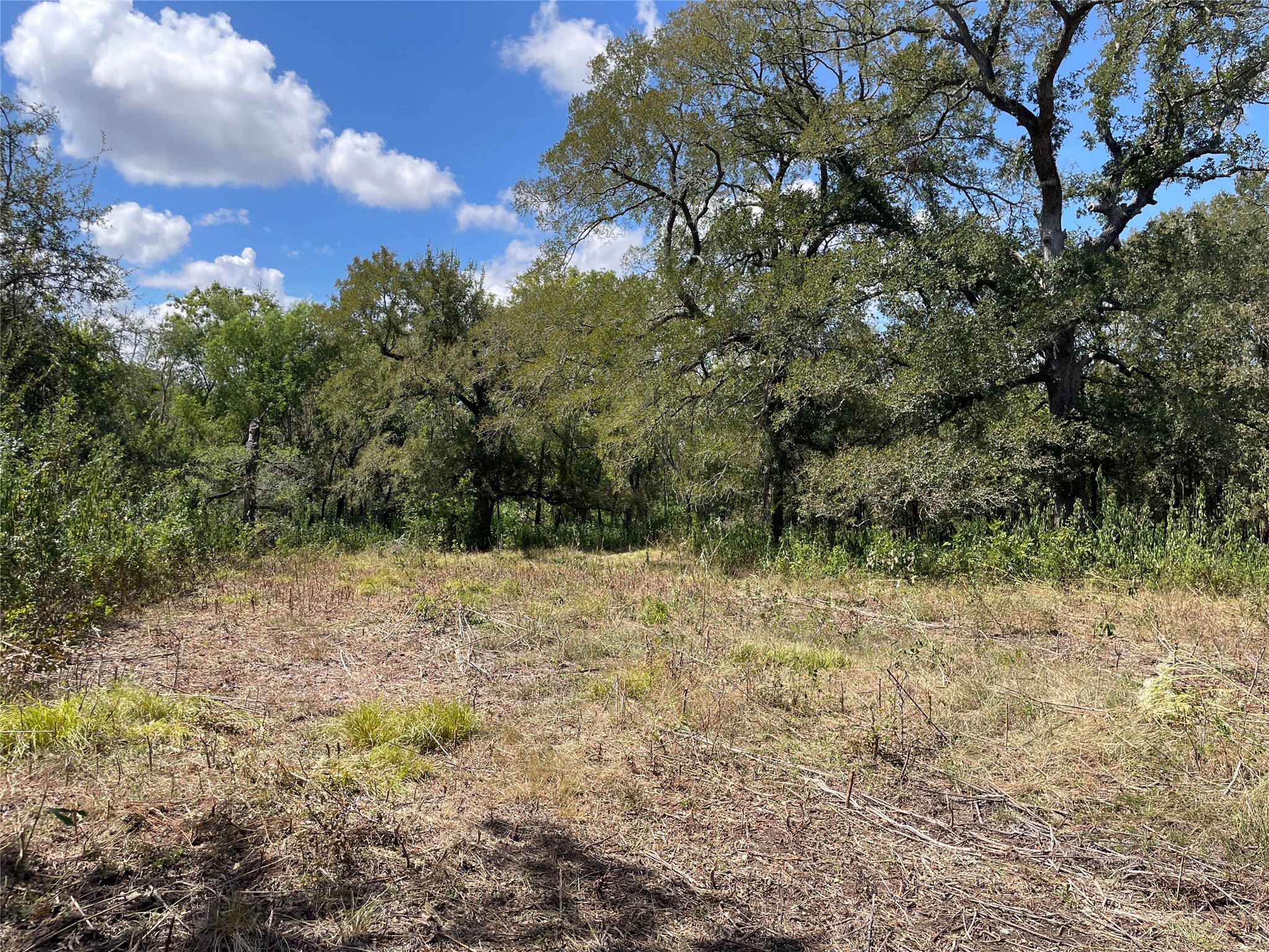 Tbd Cr 220- Property Photo 11