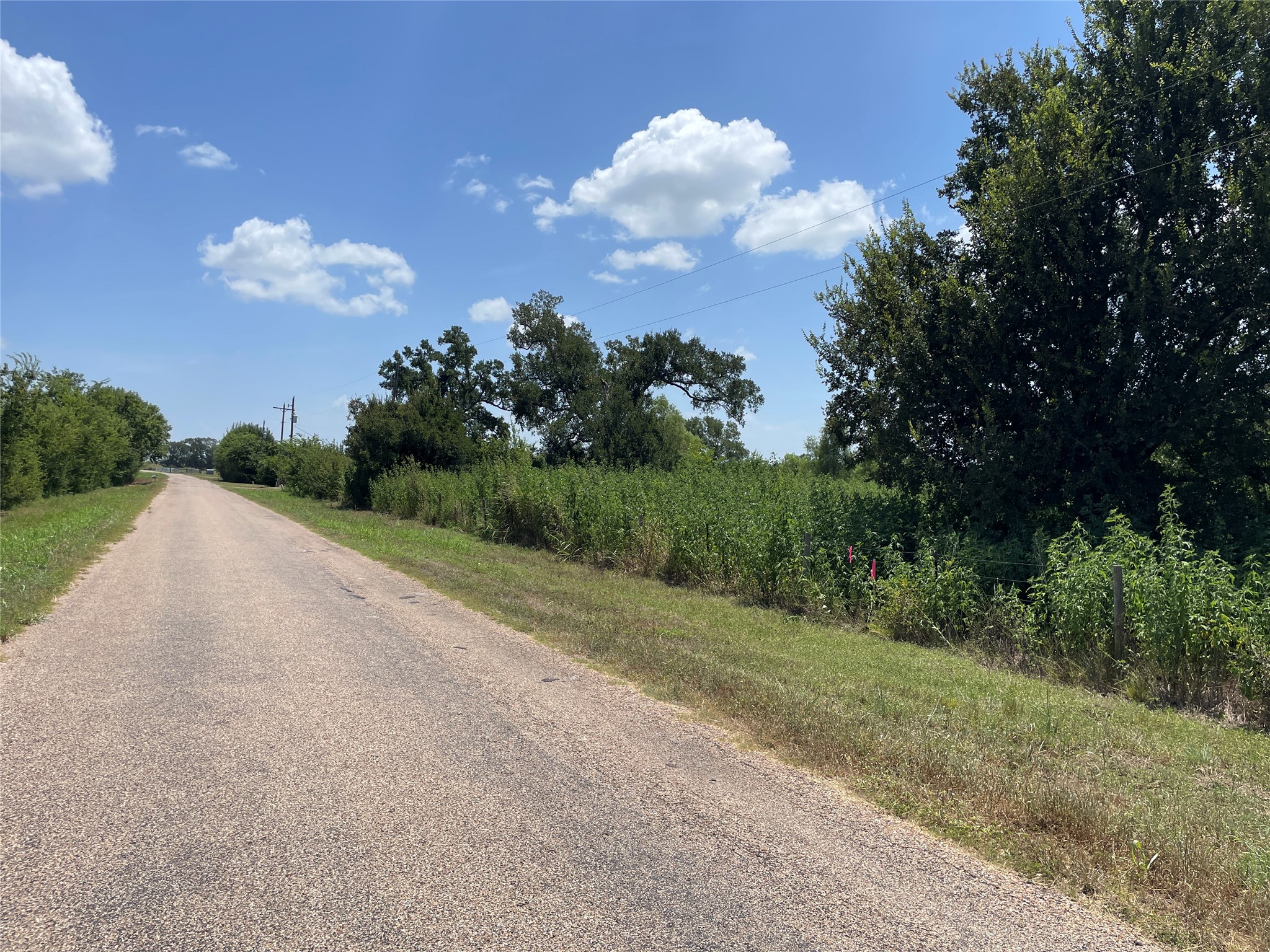Tbd Cr 220- Property Photo 13