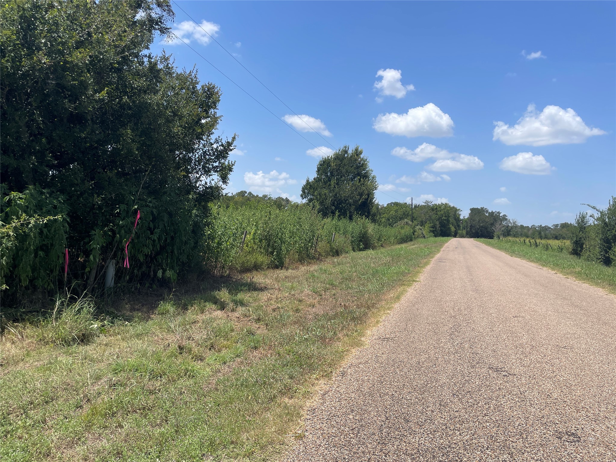 Tbd Cr 220- Property Photo 14