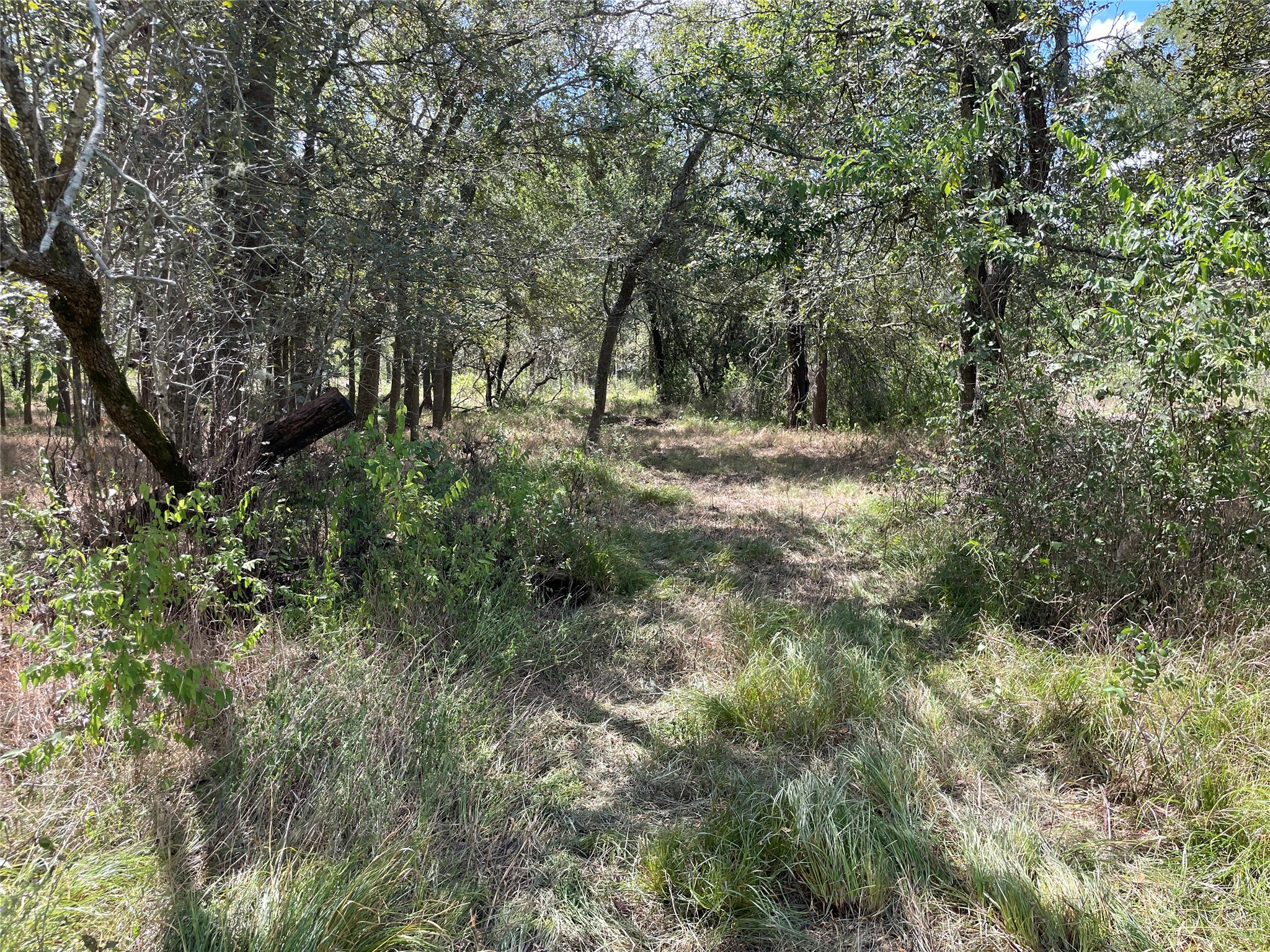 Tbd Cr 220- Property Photo 15