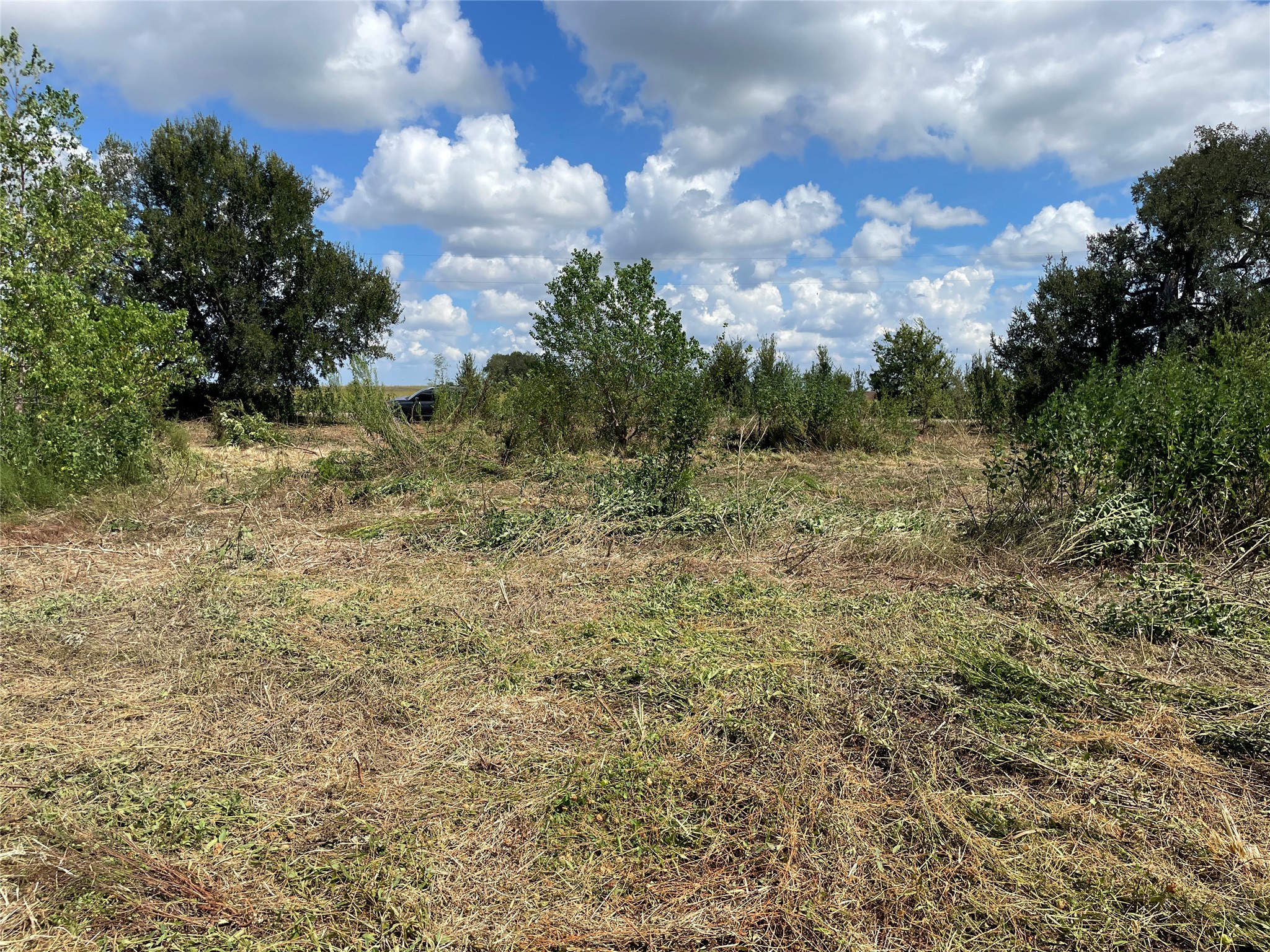 Tbd Cr 220- Property Photo 16