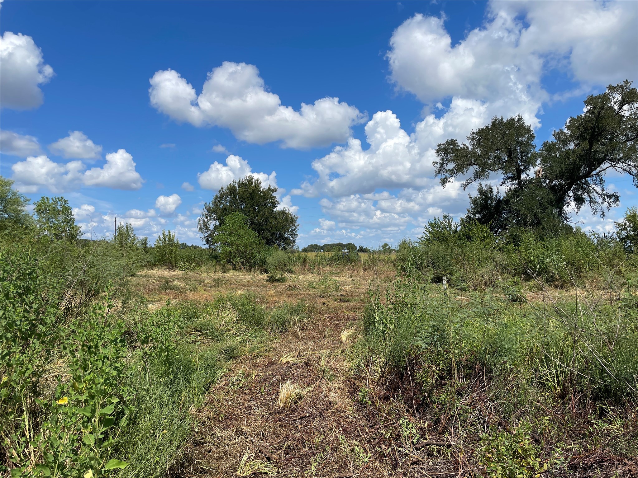 Tbd Cr 220 Property Photo 8