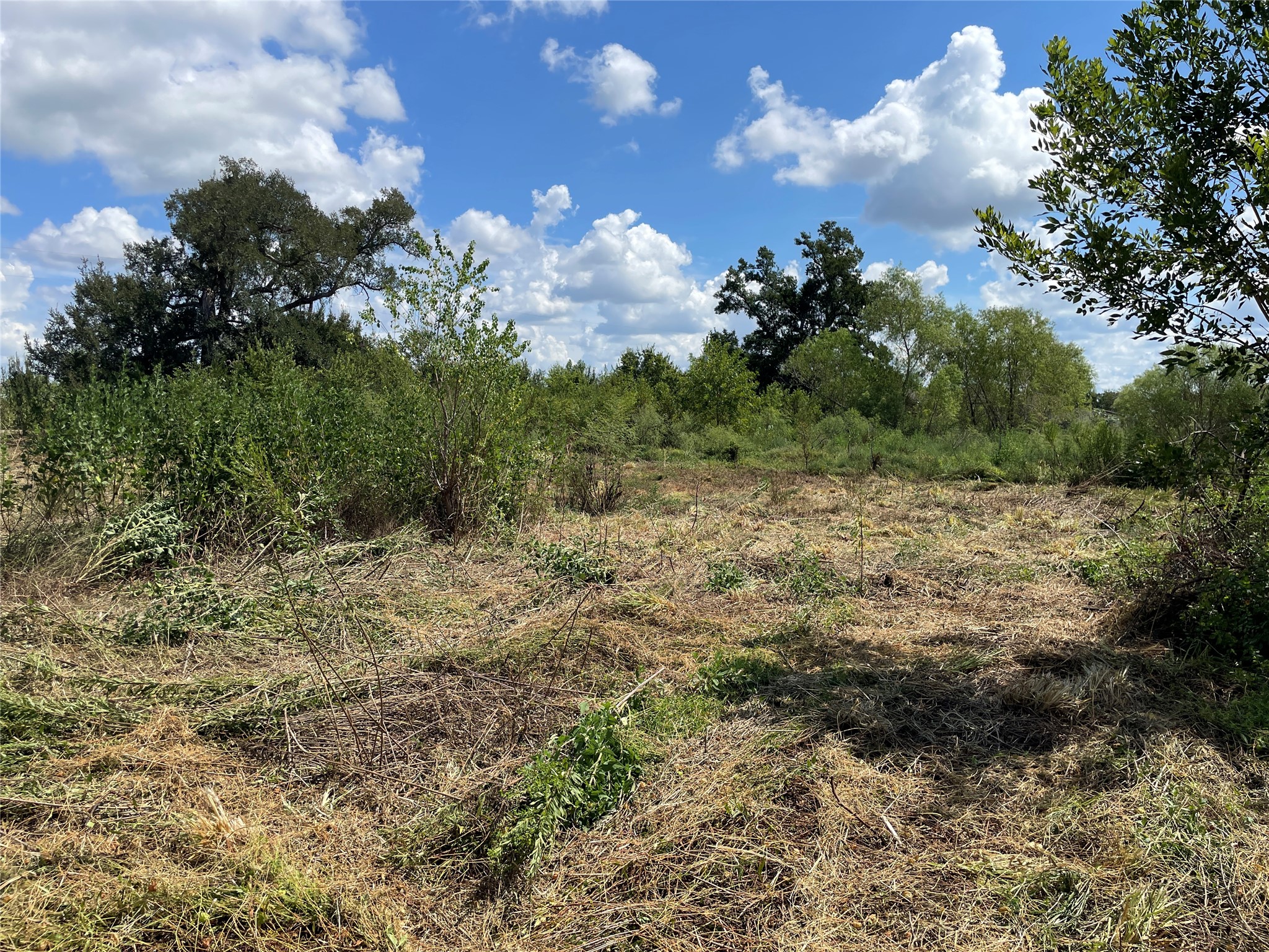 Tbd Cr 220 Property Photo 17