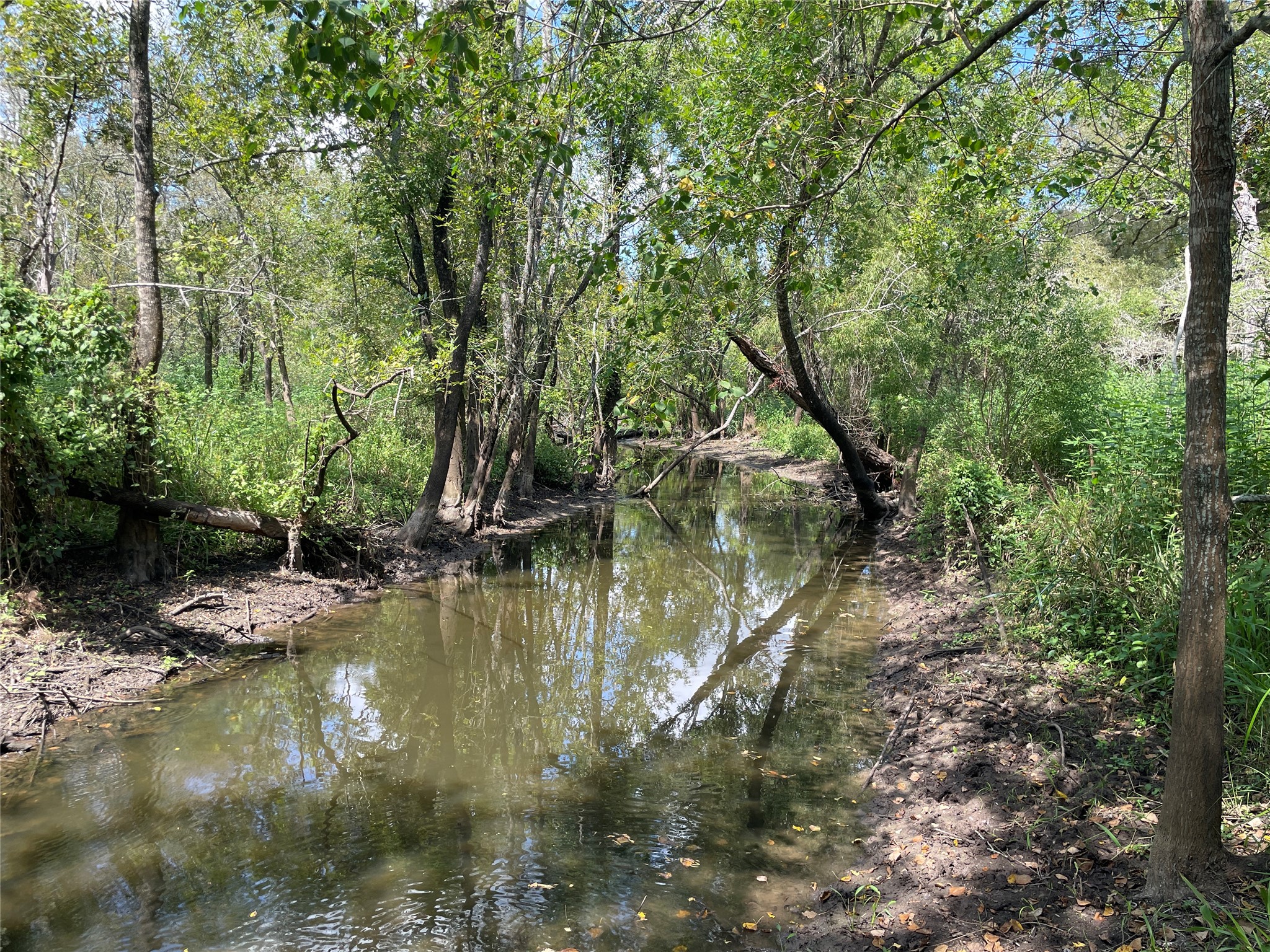 Tbd Cr 220 Property Photo 18